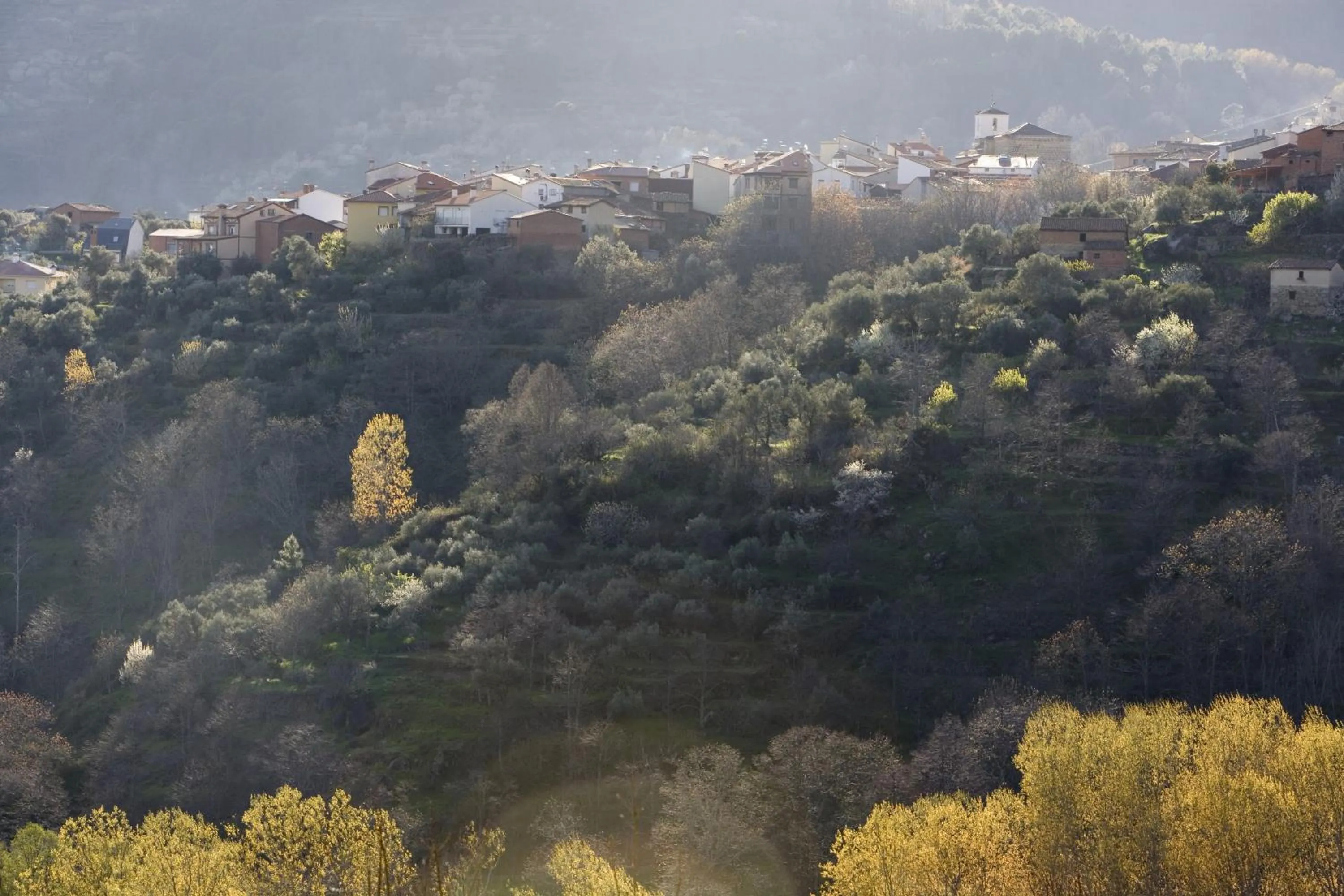 Bird's eye view in Lo Alto