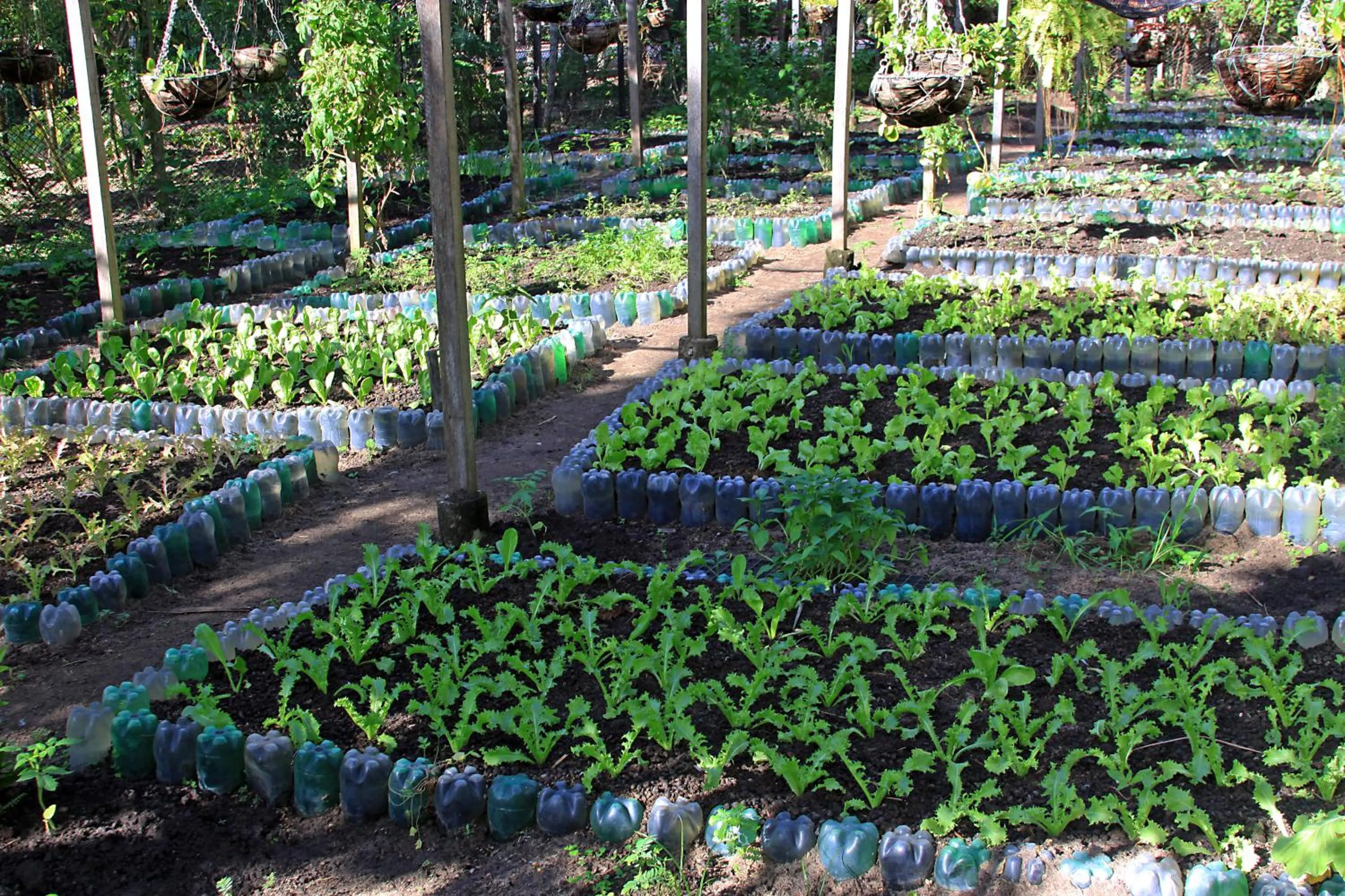 Garden in Eco Pousada Paraíso dos Coqueirais