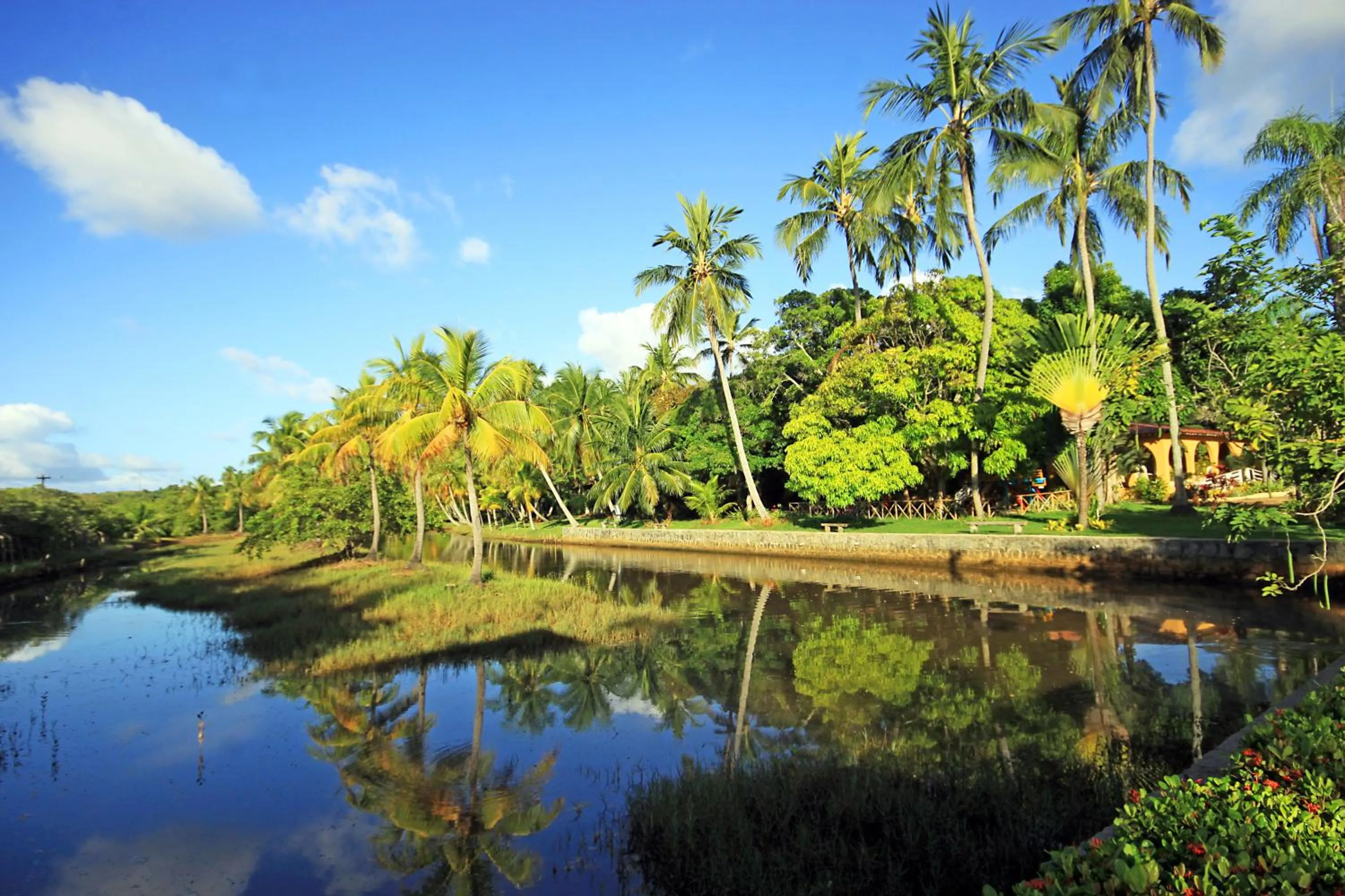 Natural landscape in Eco Pousada Paraíso dos Coqueirais