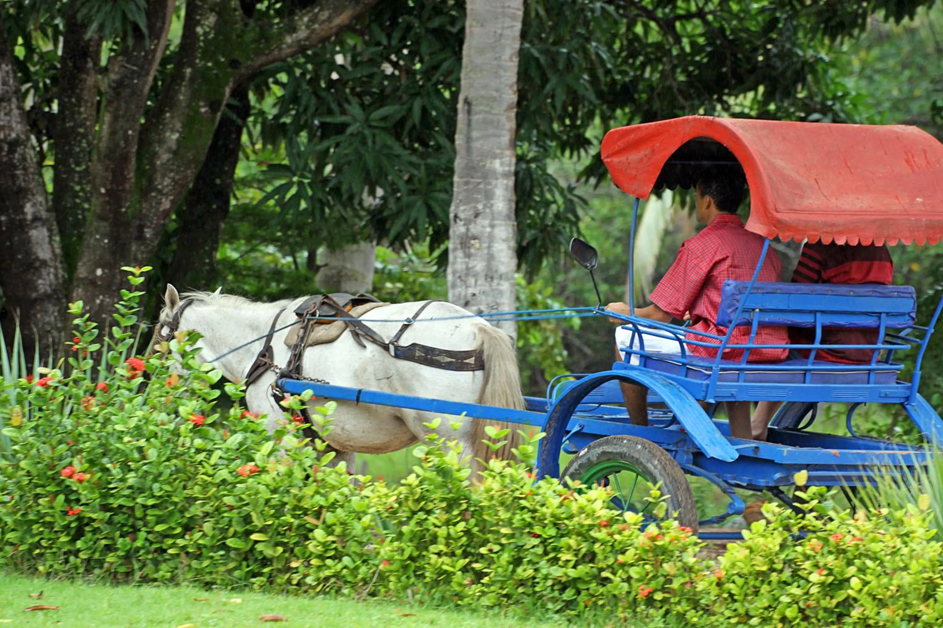 Horse-riding in Eco Pousada Paraíso dos Coqueirais