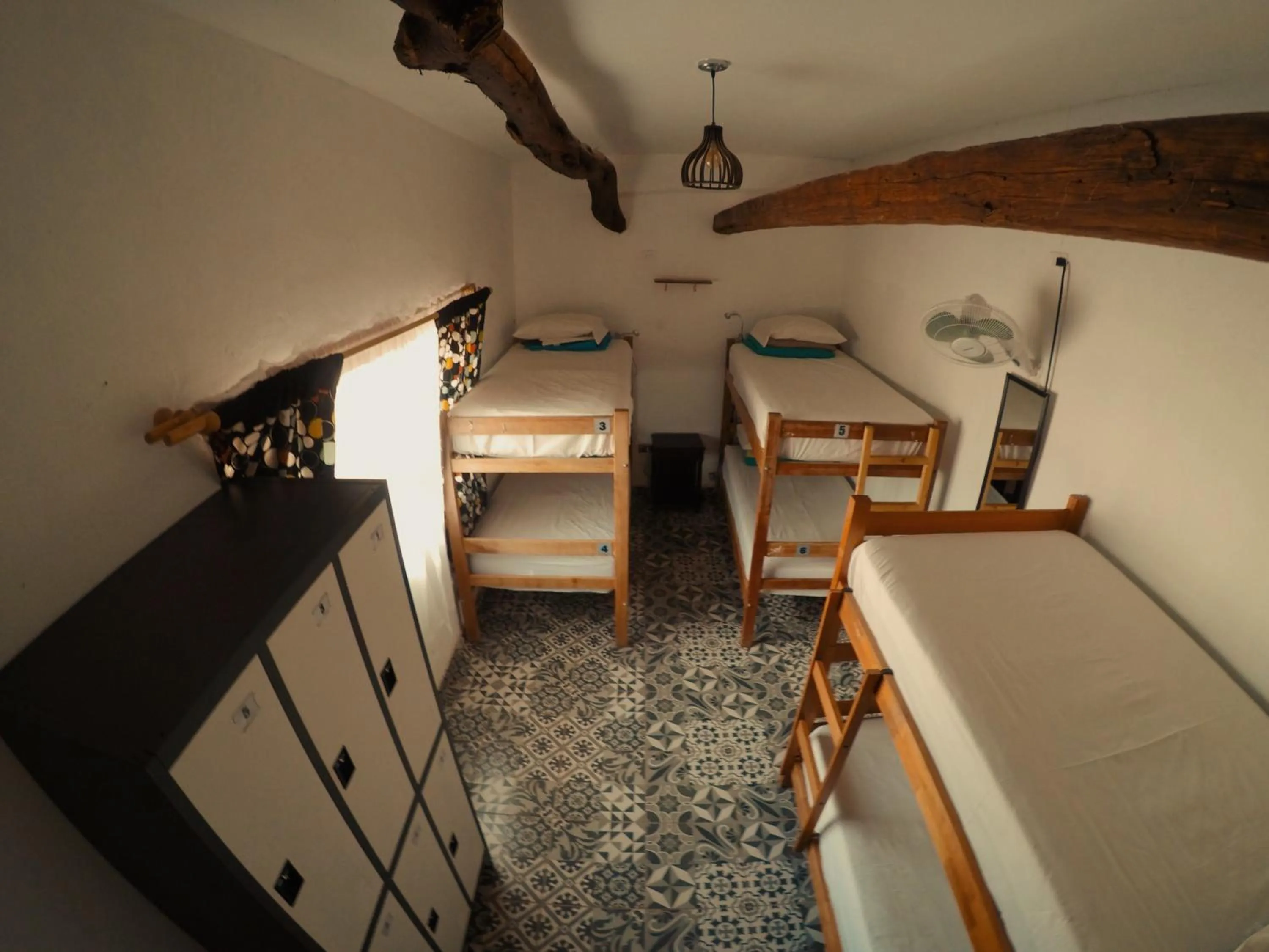 Photo of the whole room in Rey Lagarto Hostel