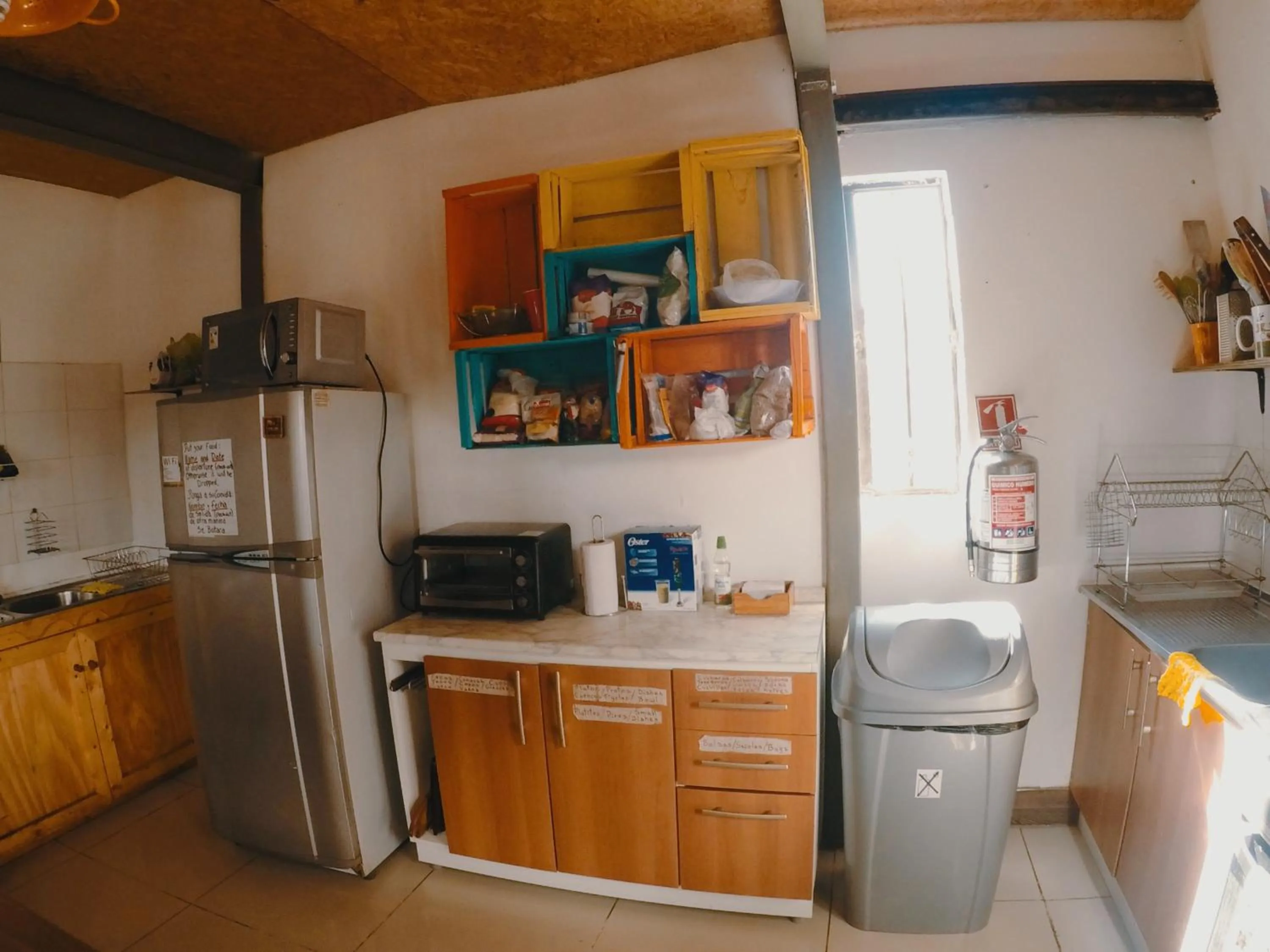 Kitchen or kitchenette in Rey Lagarto Hostel