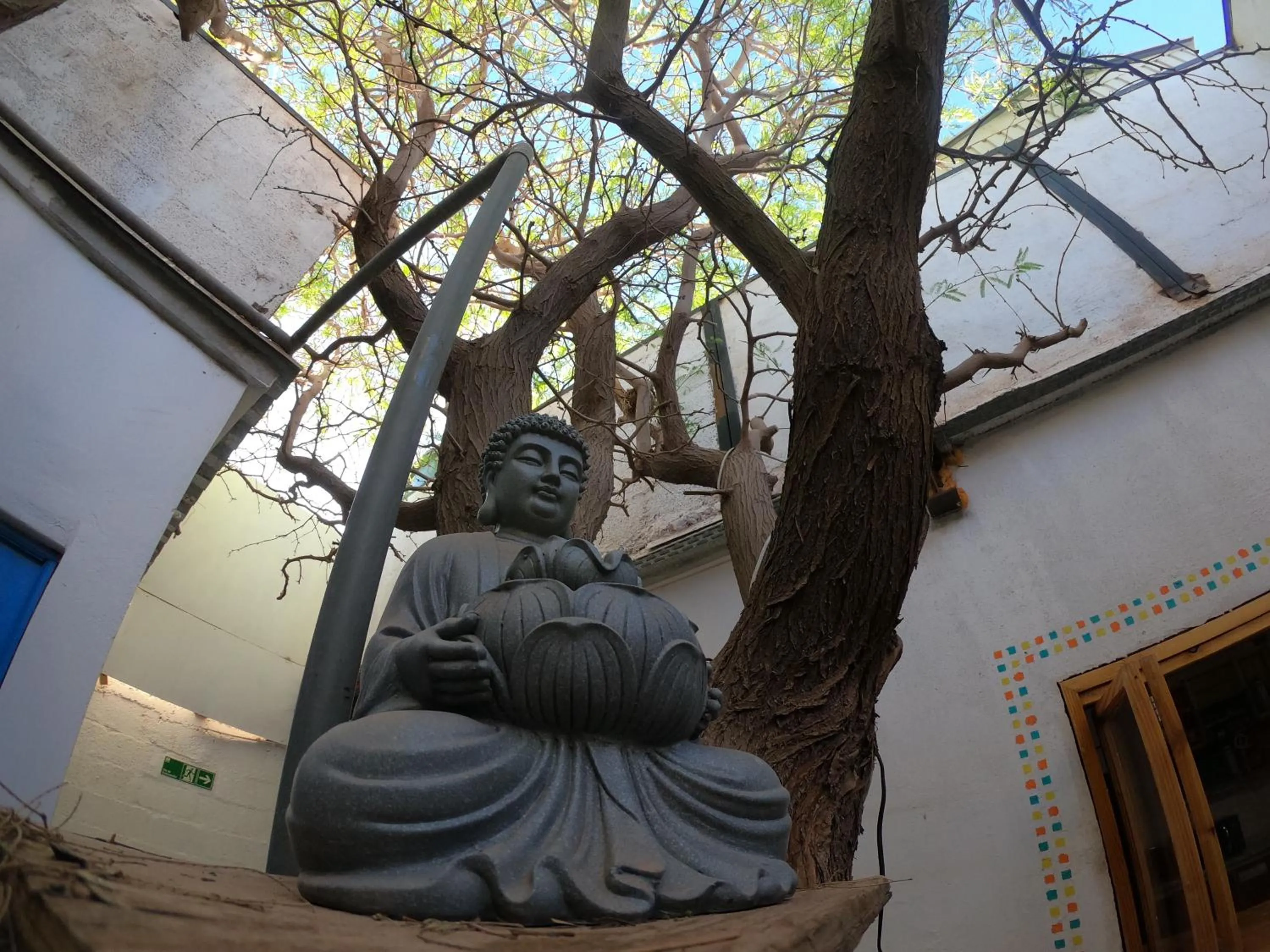 Patio in Rey Lagarto Hostel