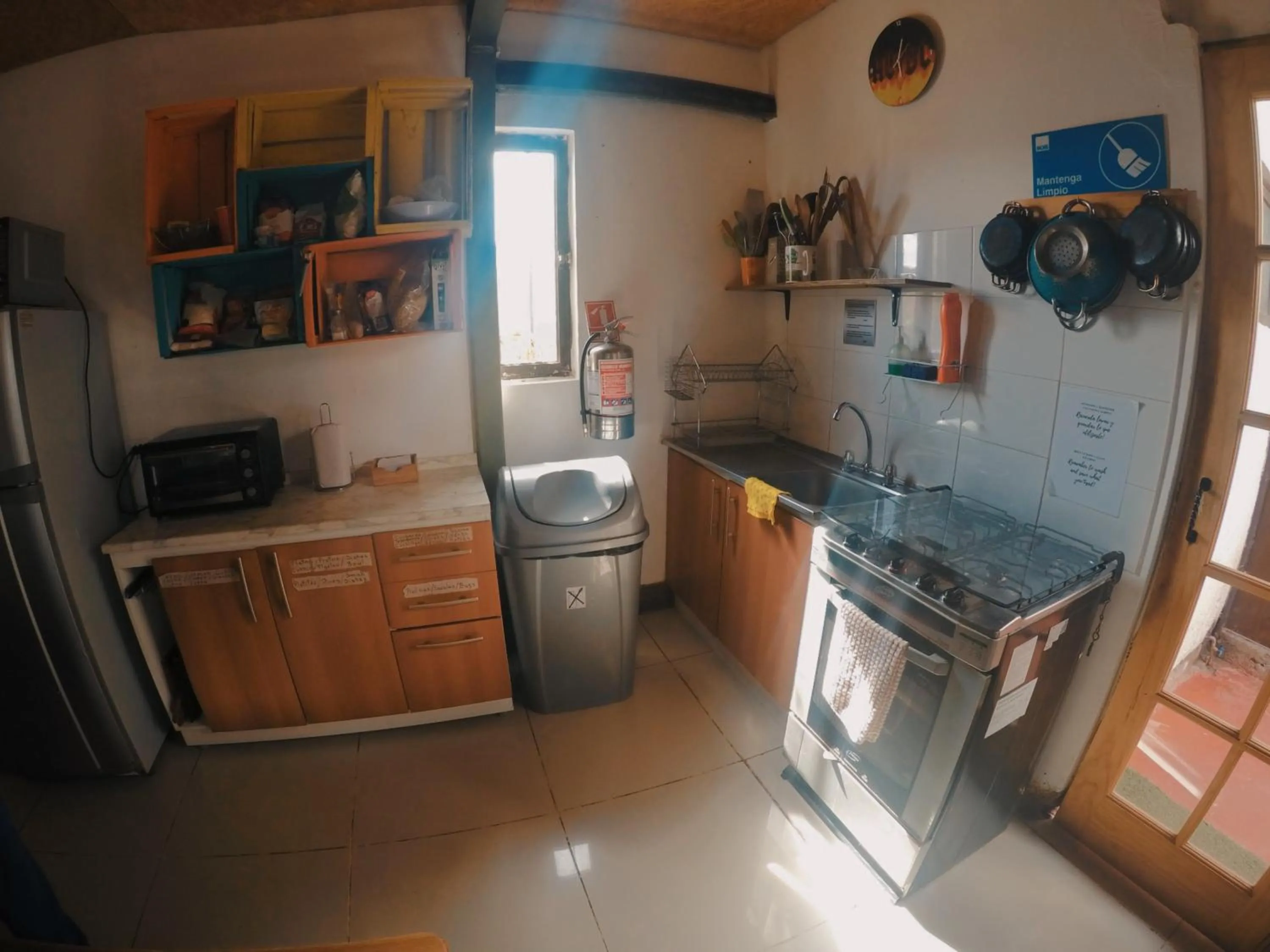 Kitchen or kitchenette in Rey Lagarto Hostel