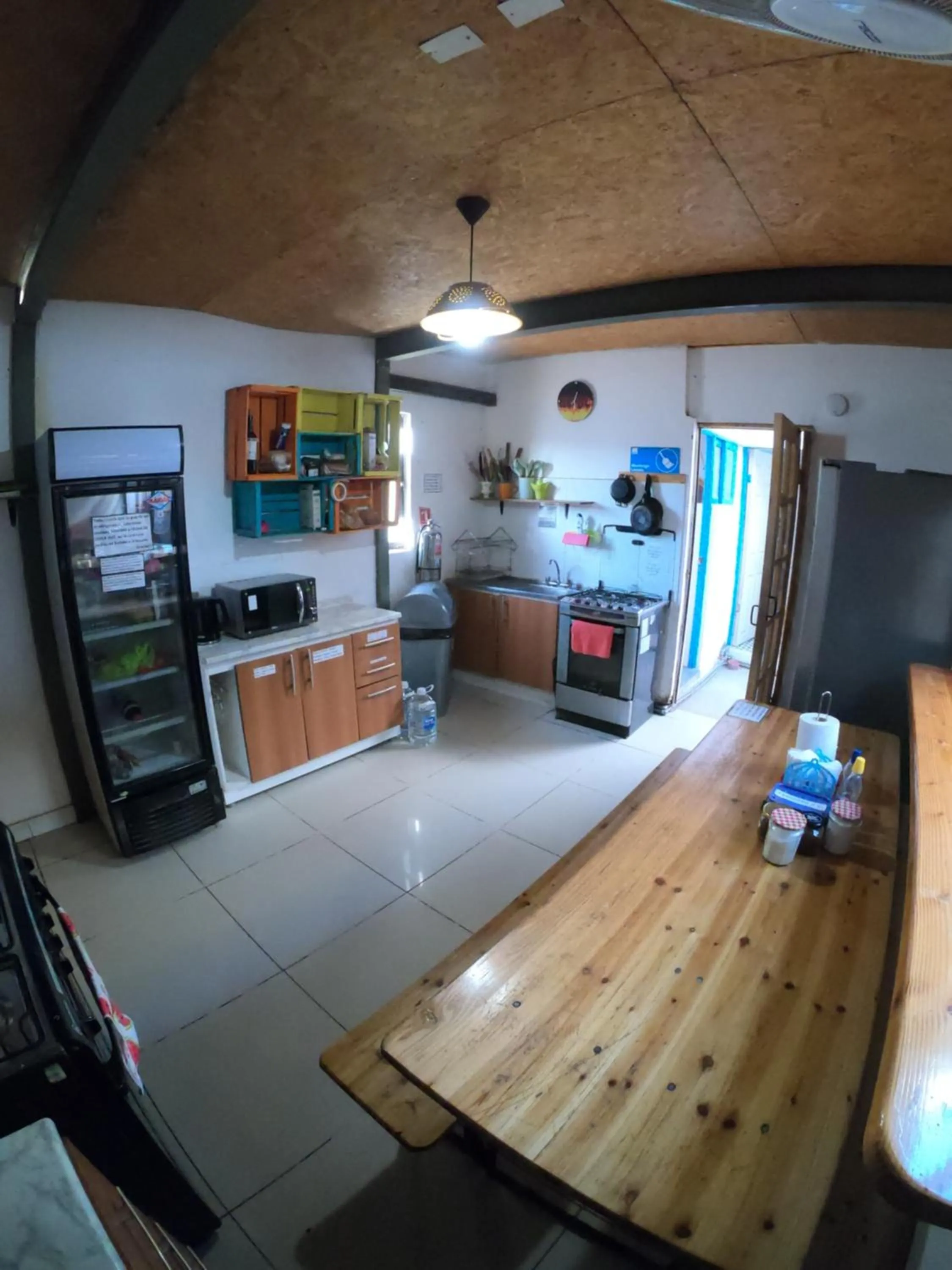 Kitchen or kitchenette in Rey Lagarto Hostel