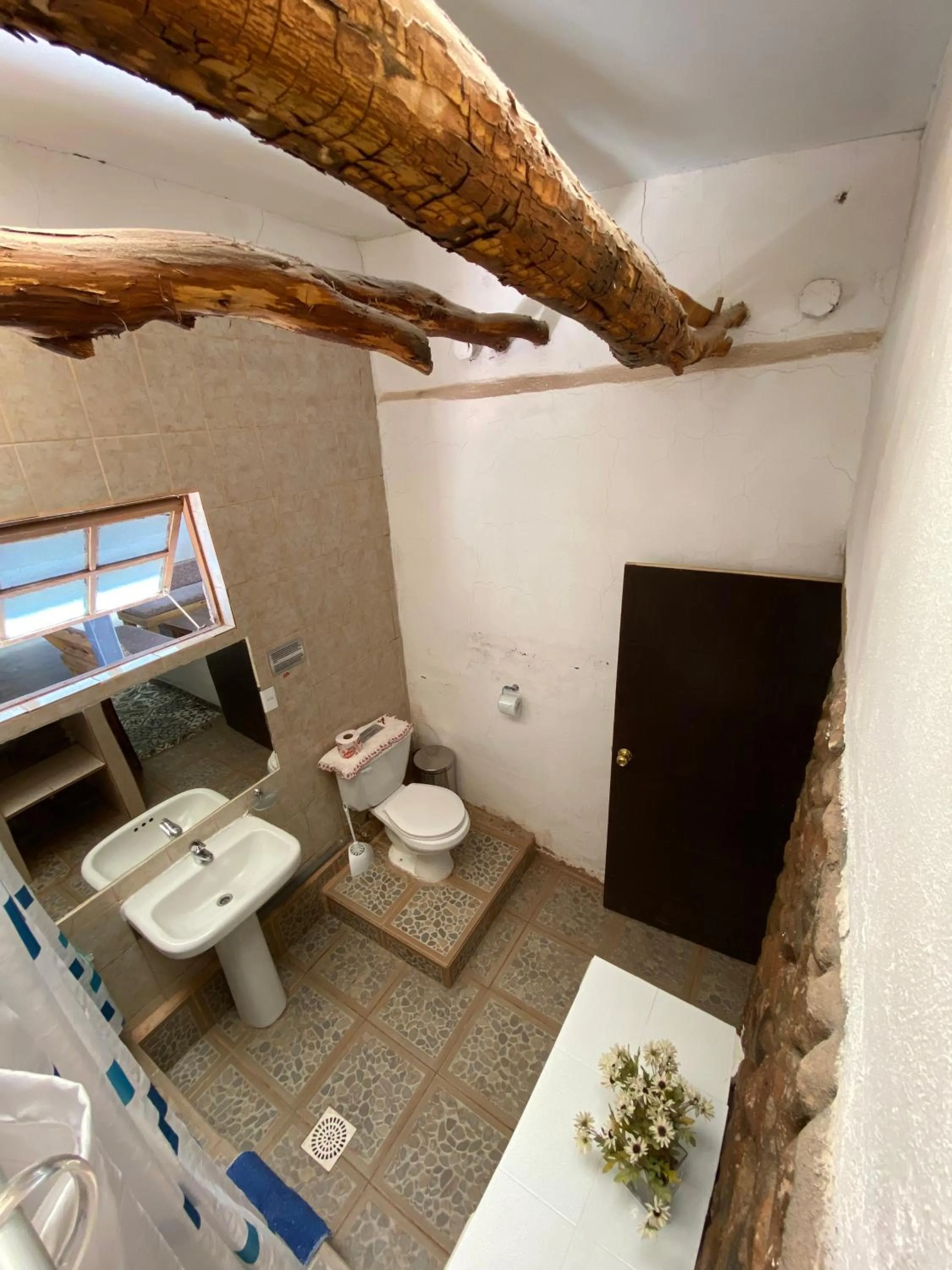 Shower in Rey Lagarto Hostel