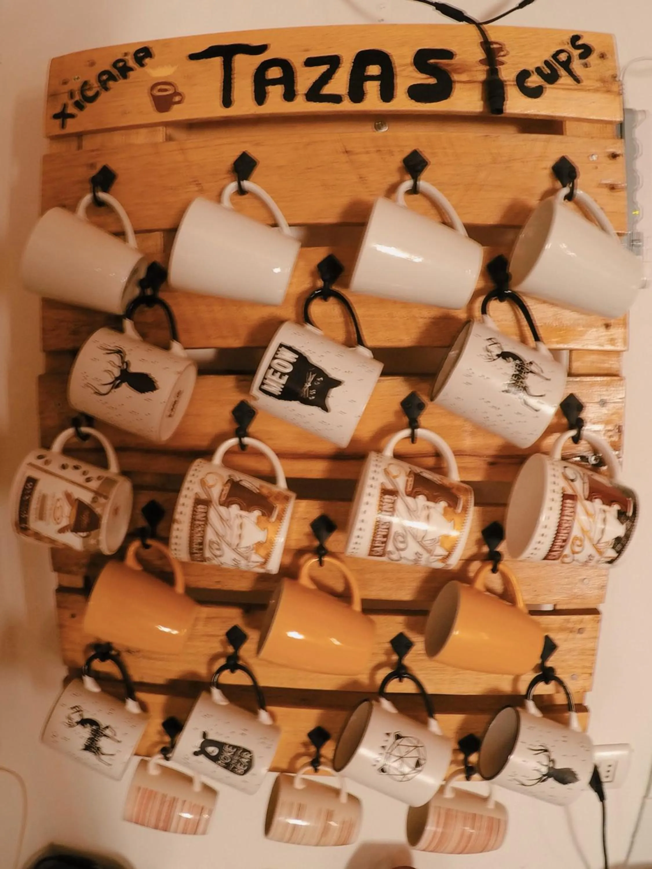 Communal kitchen in Rey Lagarto Hostel