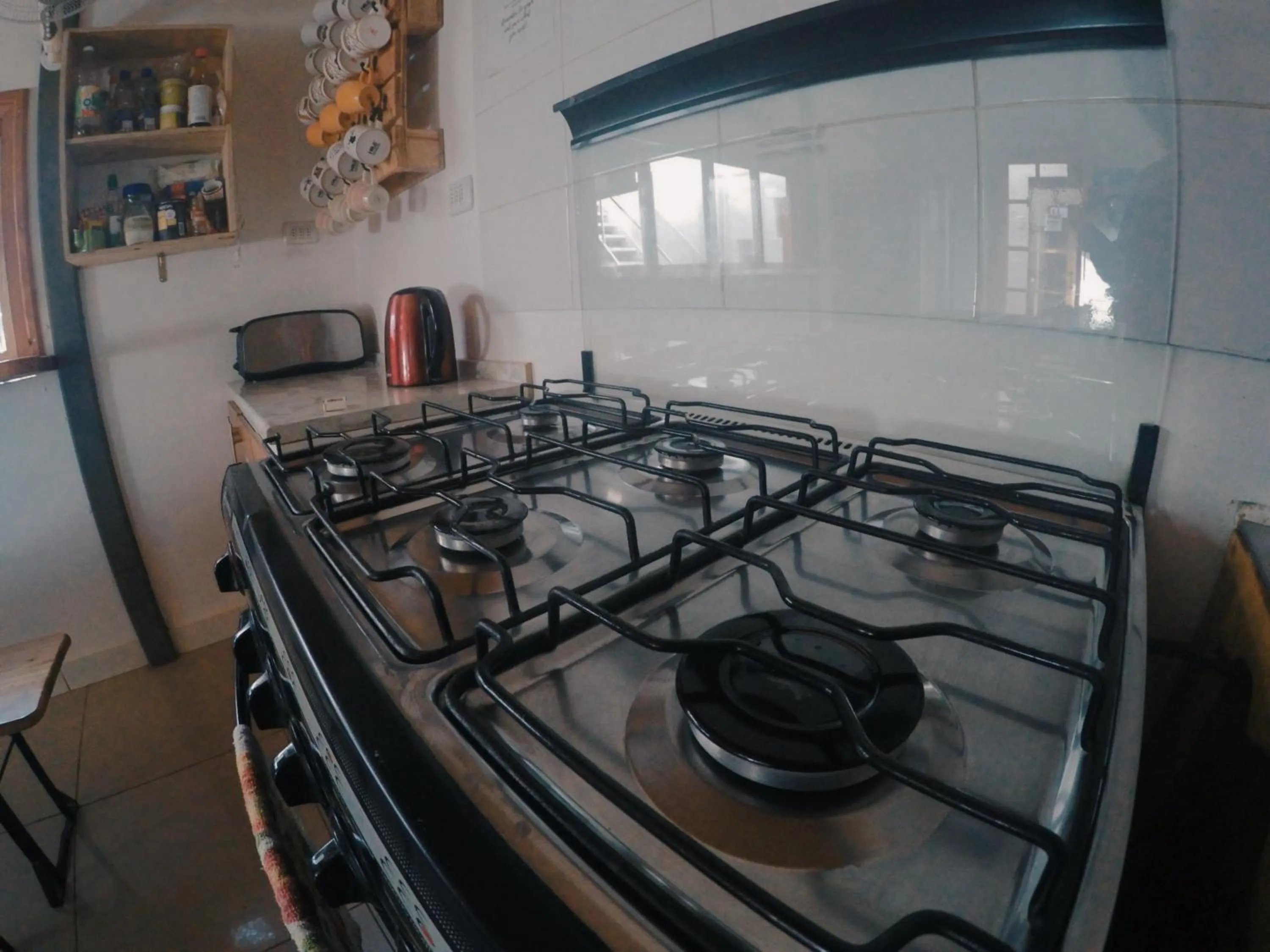 Kitchen or kitchenette in Rey Lagarto Hostel