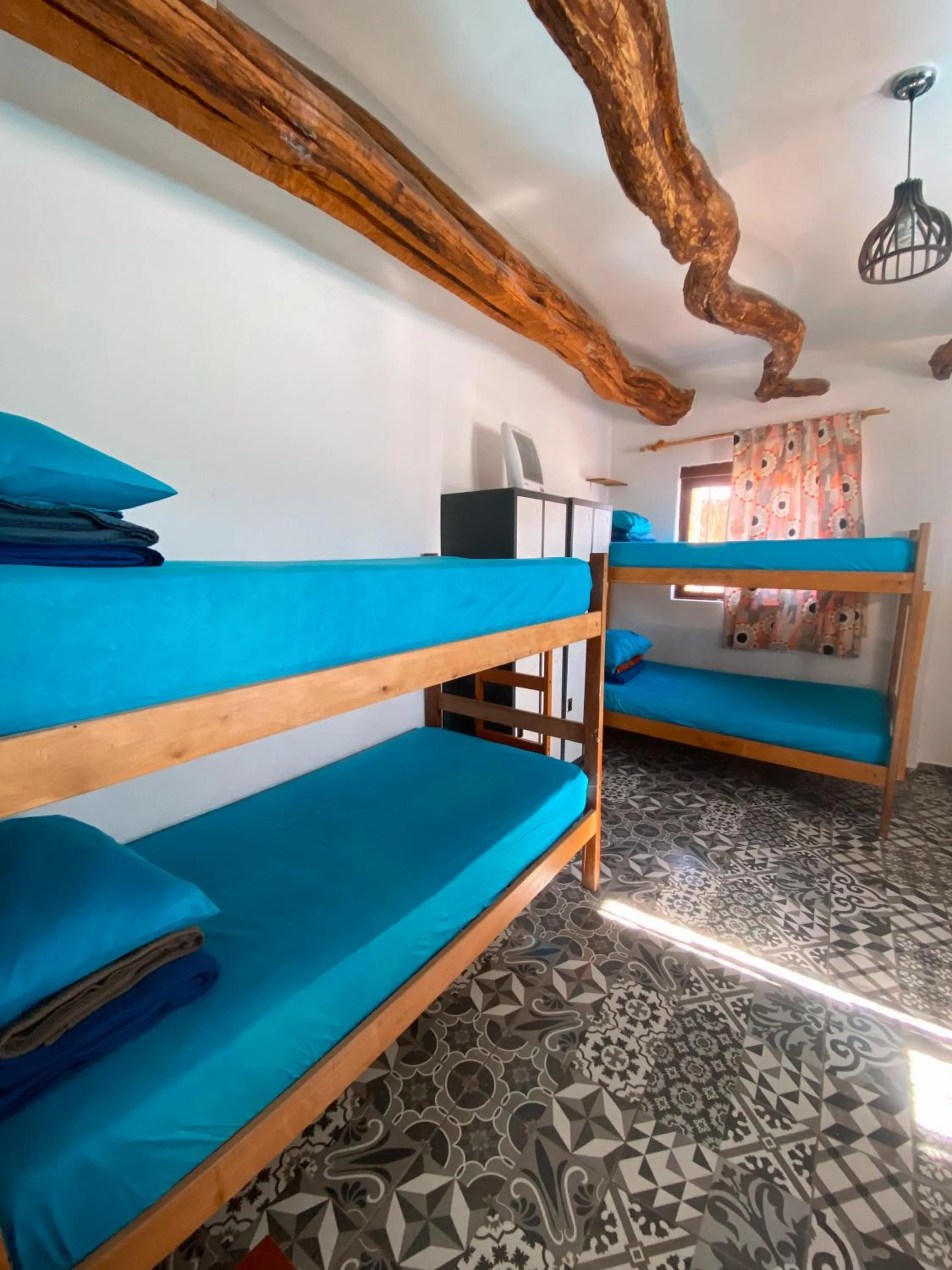 Photo of the whole room, Bed in Rey Lagarto Hostel