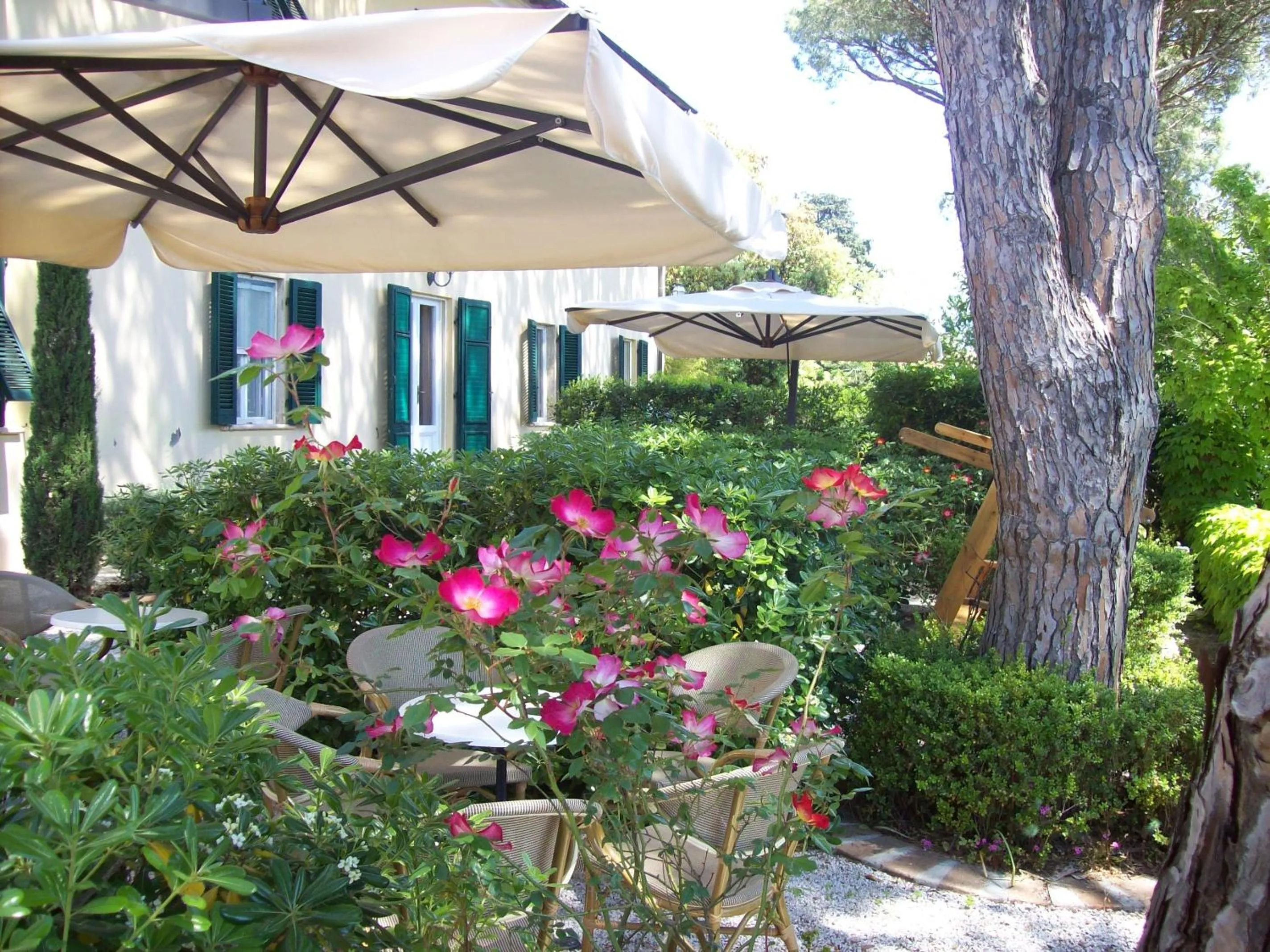Garden in Villa Terme Di Caldana B&B