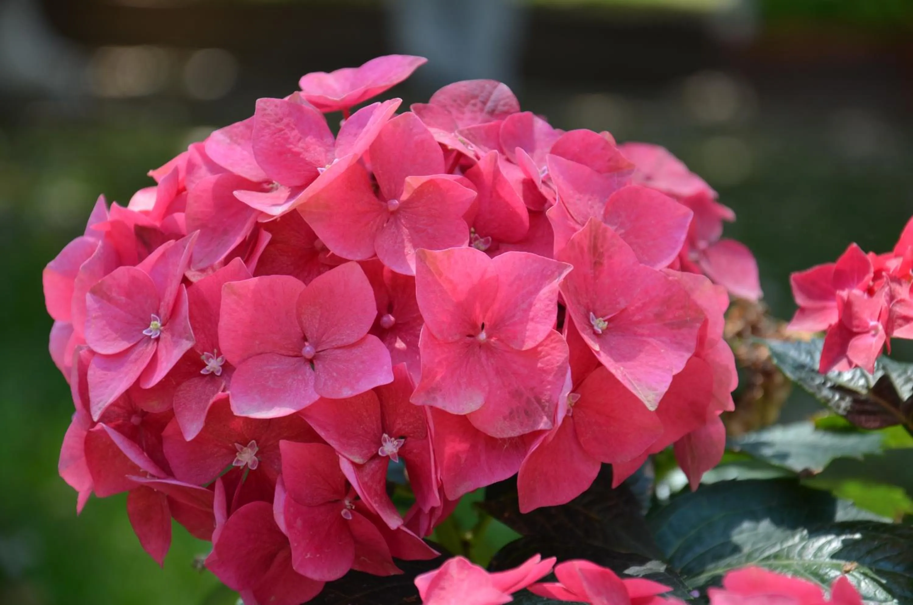 Spring in Villa Terme Di Caldana B&B