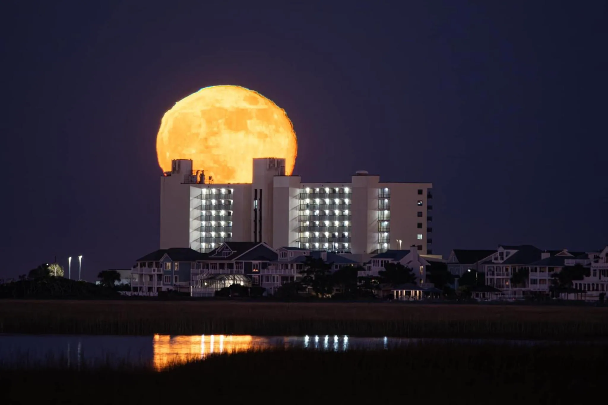 Shell Island Resort - All Oceanfront Suites