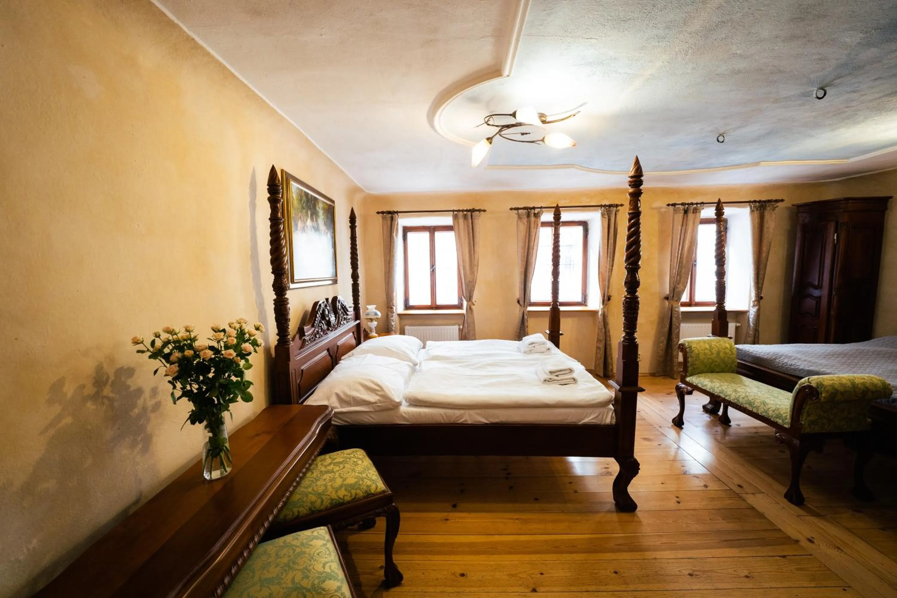 Standard Double Room in Penzion Baroko