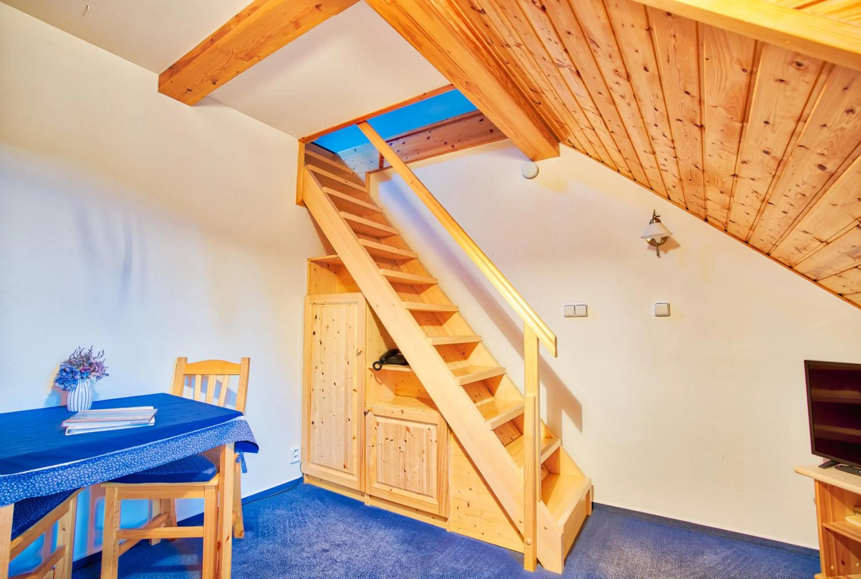 TV and multimedia in Apartmán-Hotel Jítravský Dvorec
