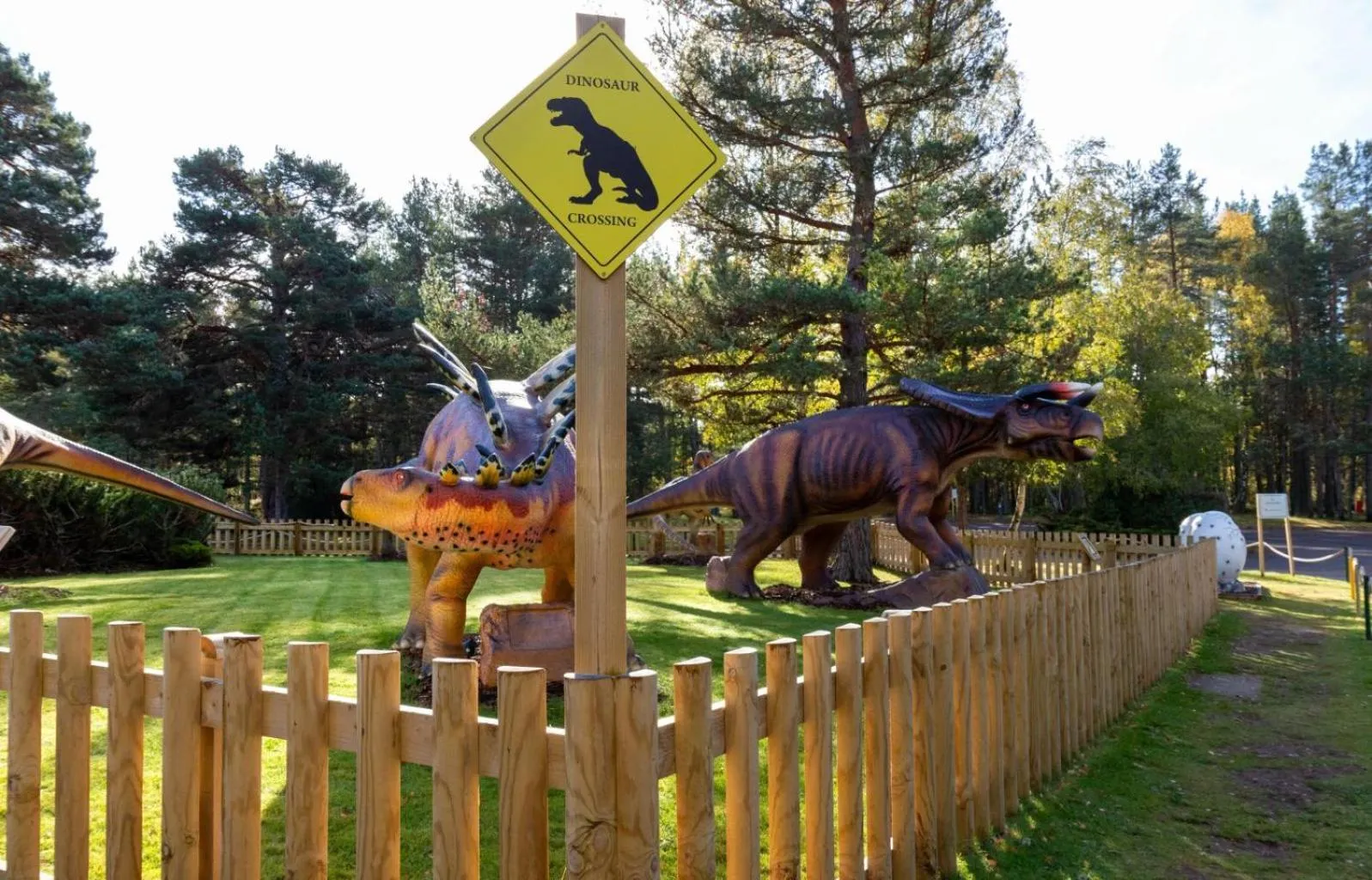 Children play ground in Coylumbridge Resort Hotel