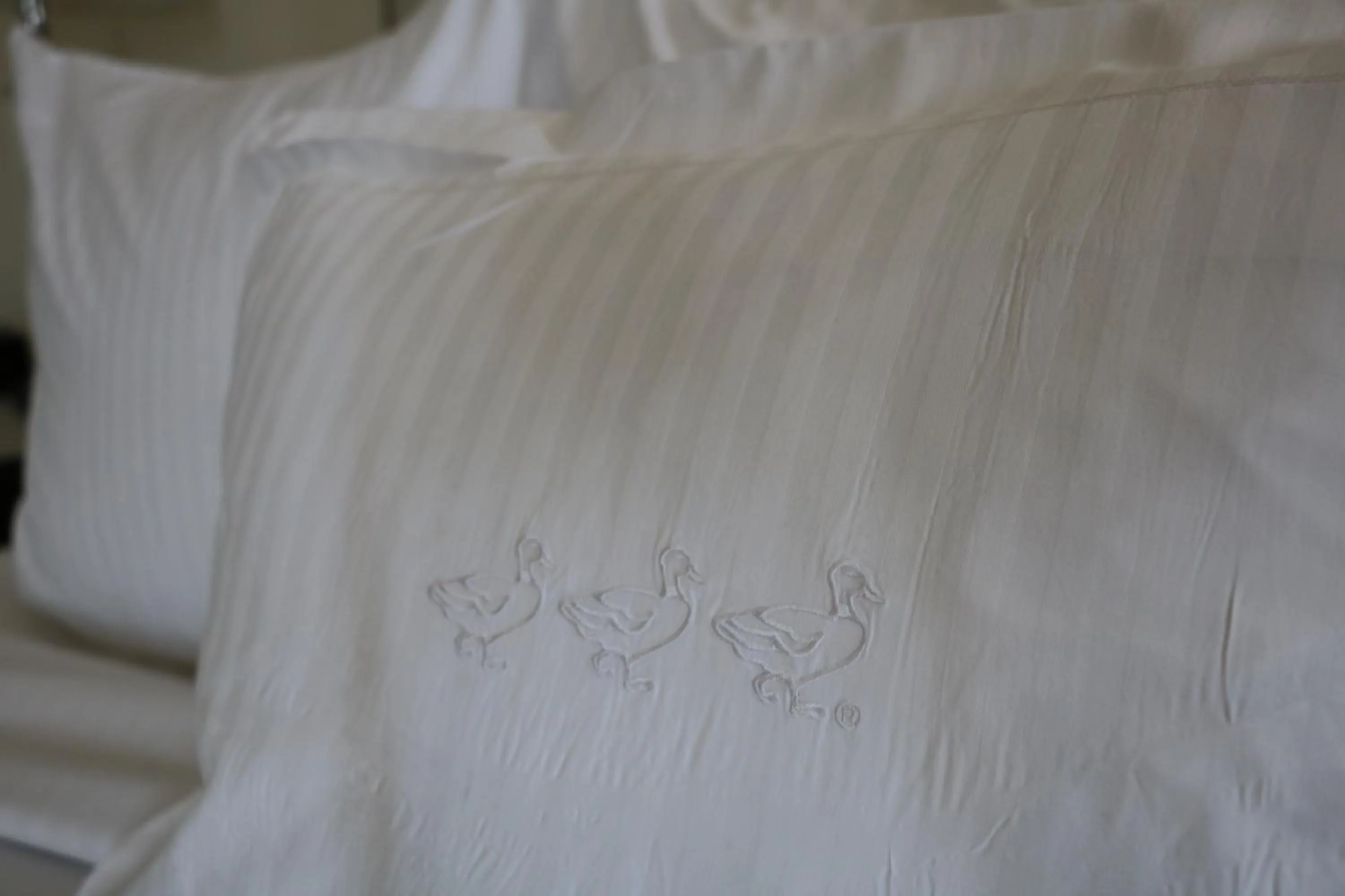 Bed in Peabody Memphis