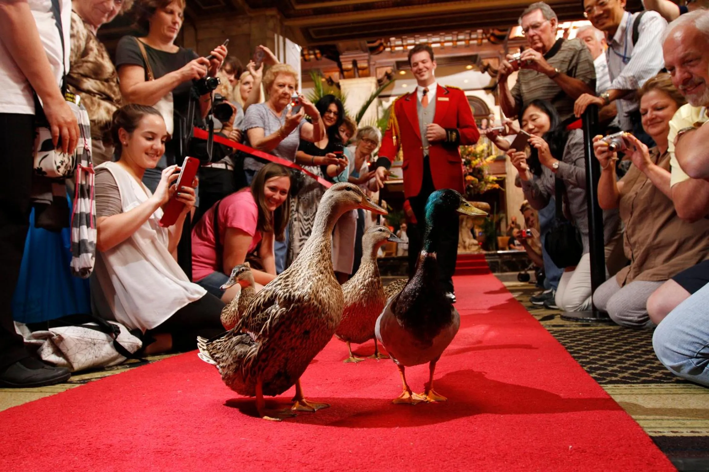 People in Peabody Memphis