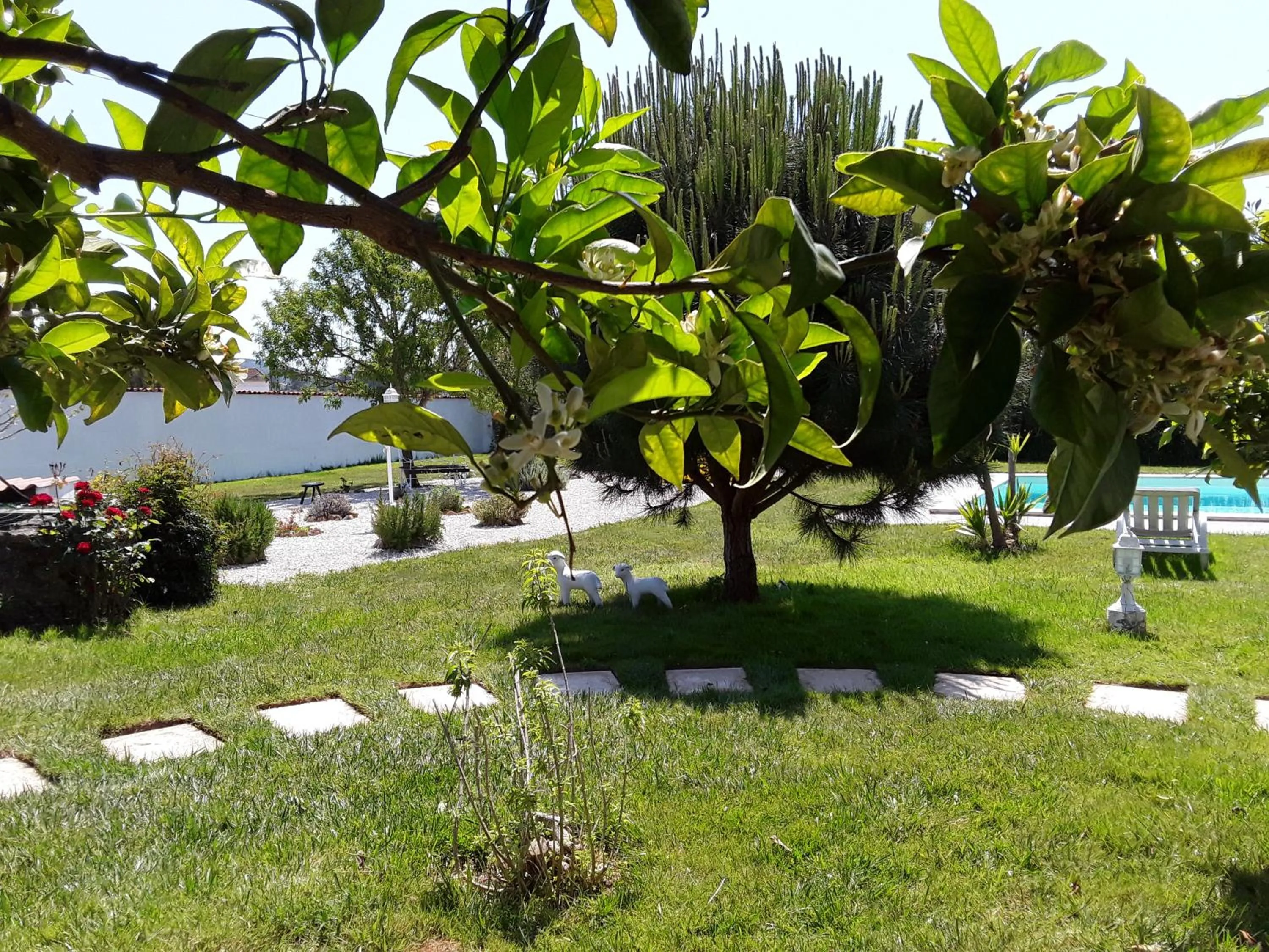 Garden view in Quinta Camargue