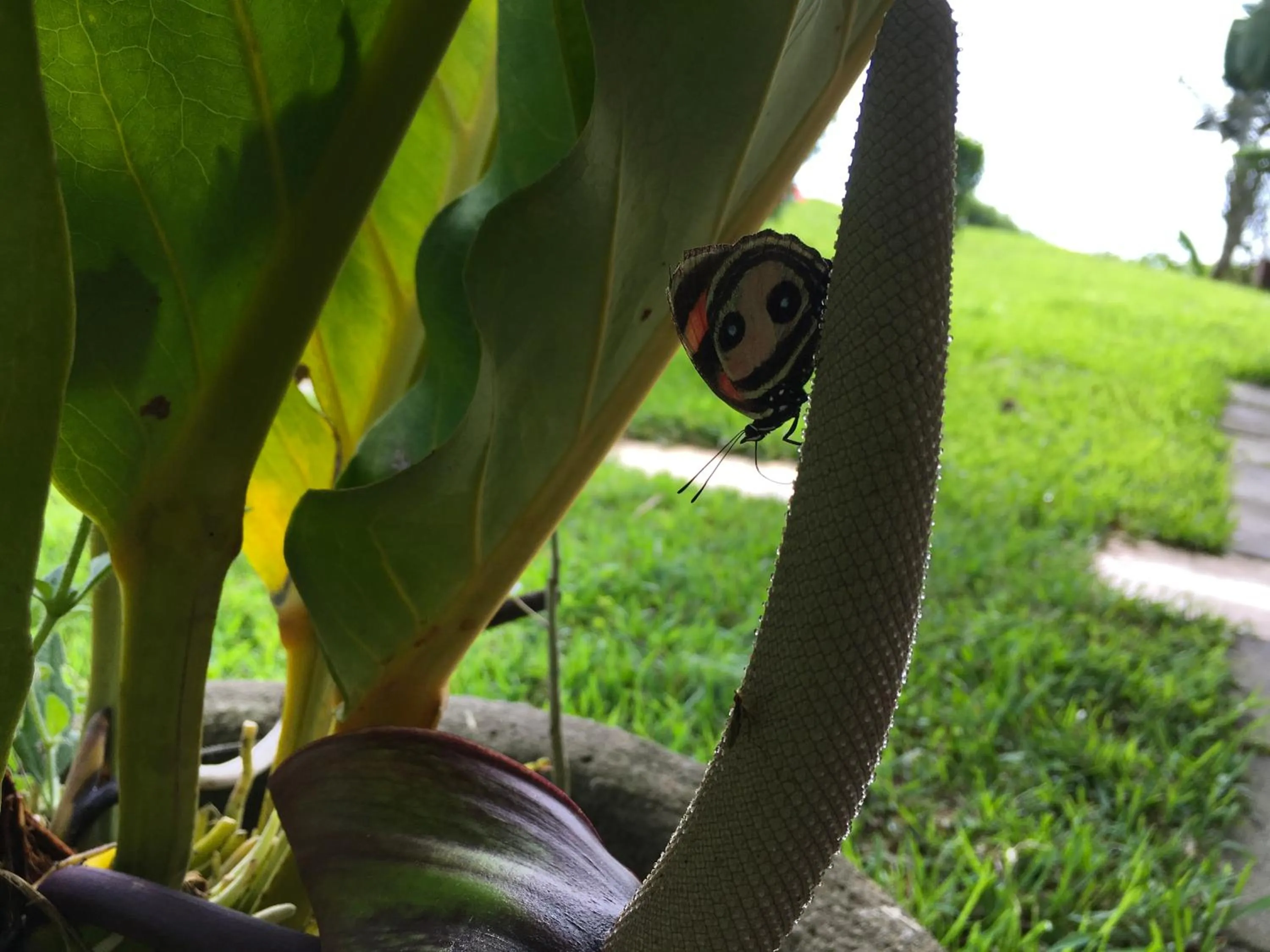 Casitas Sollevante Boutique Hotel