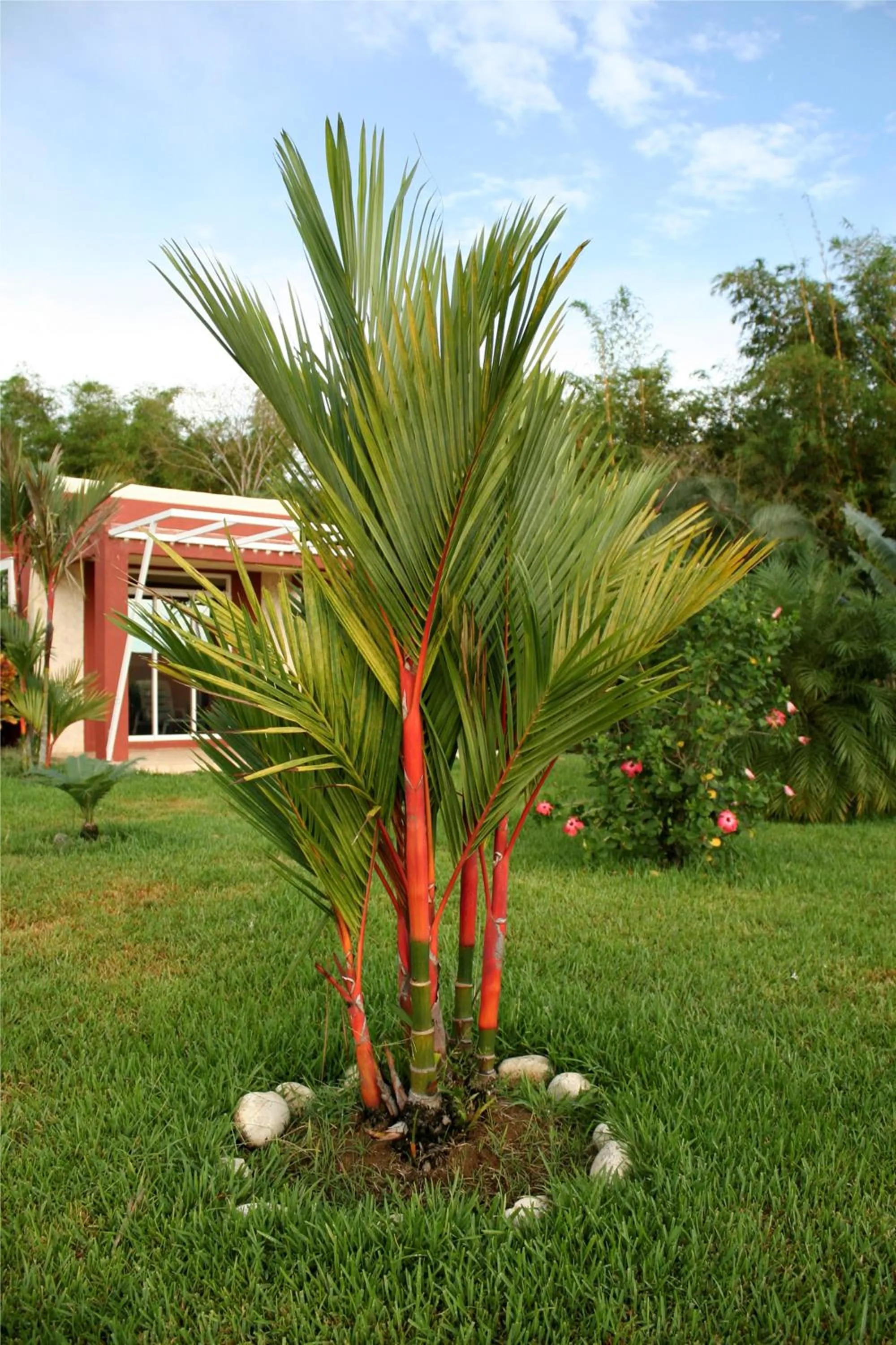 Garden in Casitas Sollevante Boutique Hotel