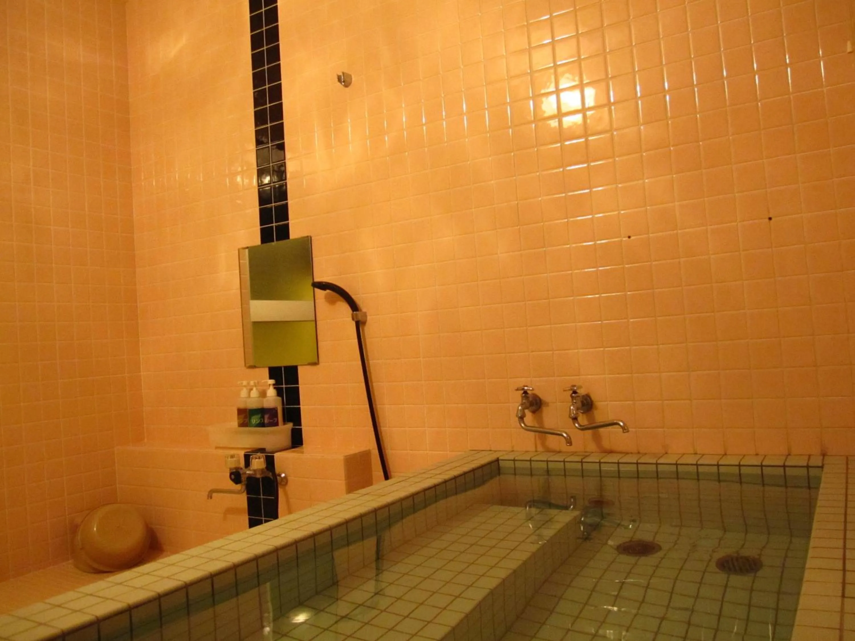 Shower in Hakuba Skala Inn