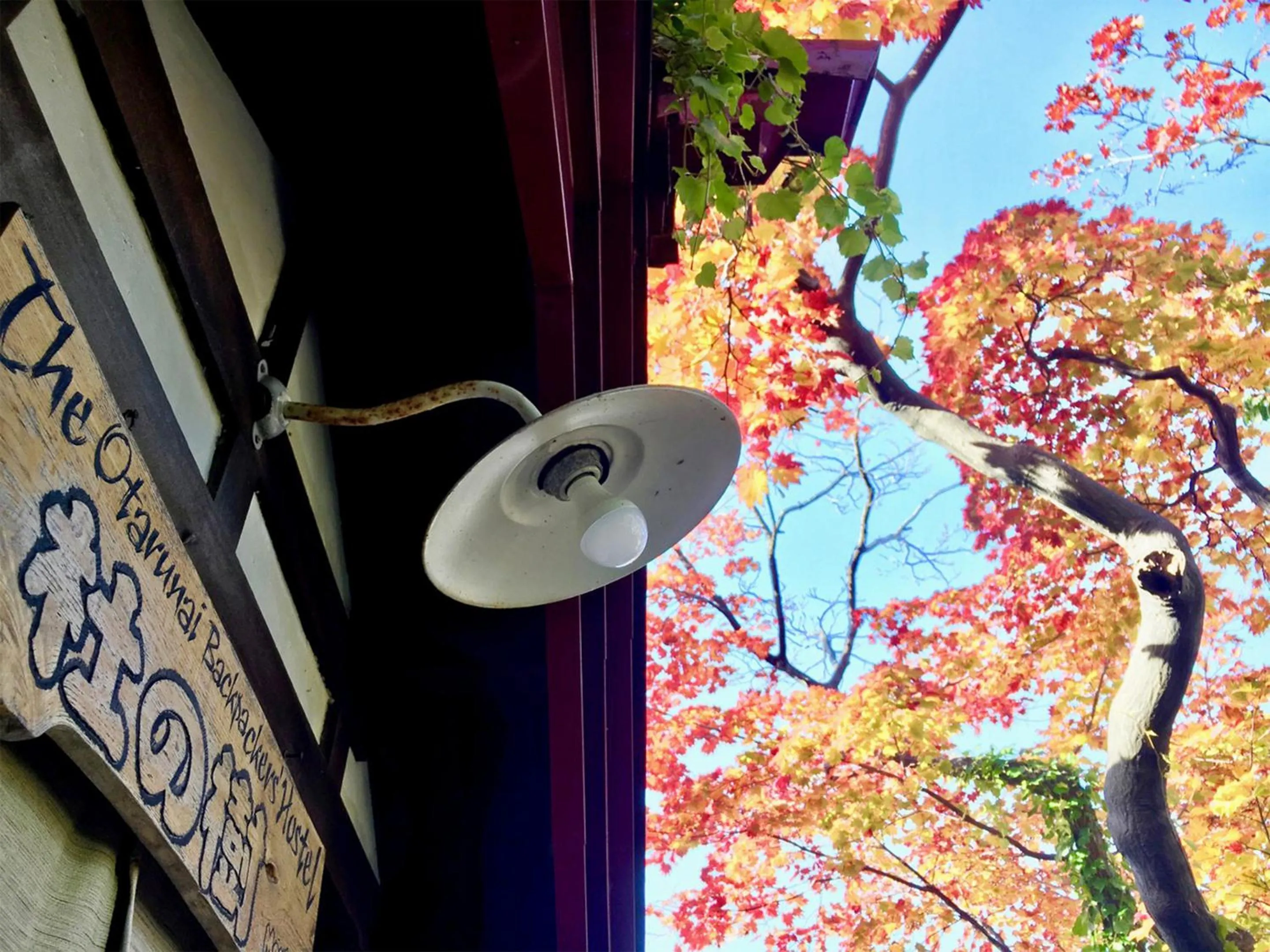 Property building in The Otaornai Backpacker's Hostel Morinoki