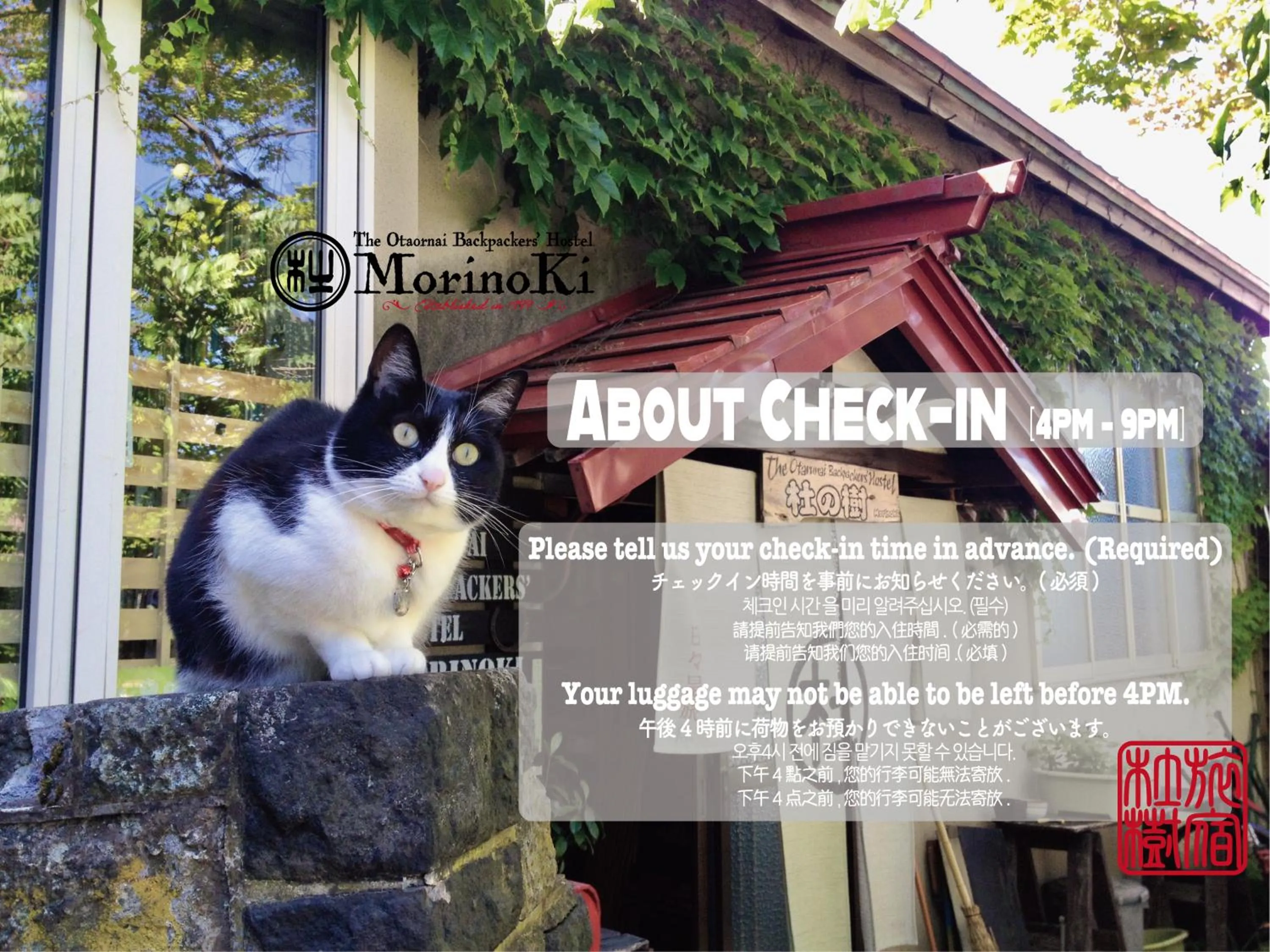 Property building in The Otaornai Backpacker's Hostel Morinoki