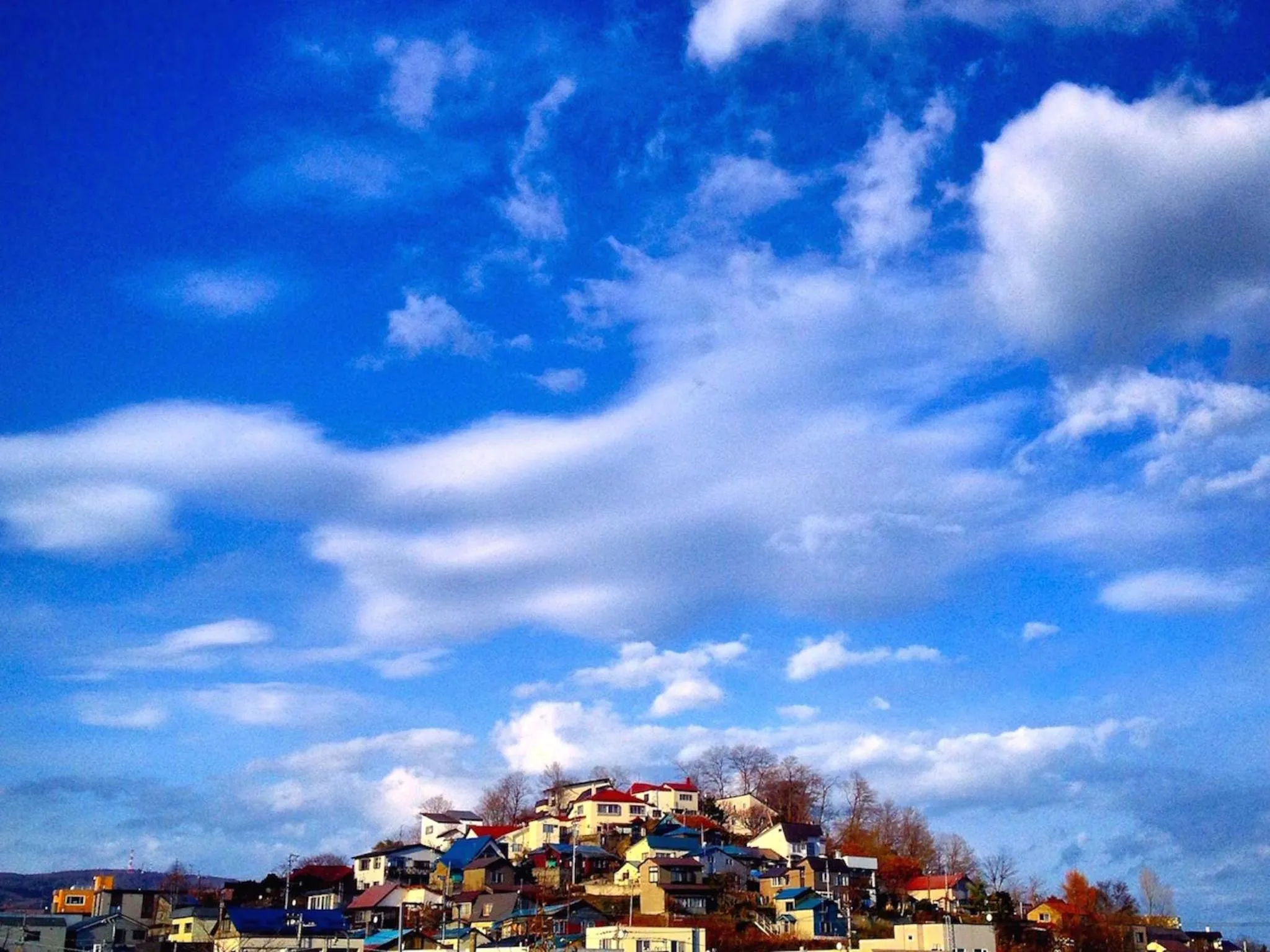 Nearby landmark in The Otaornai Backpacker's Hostel Morinoki
