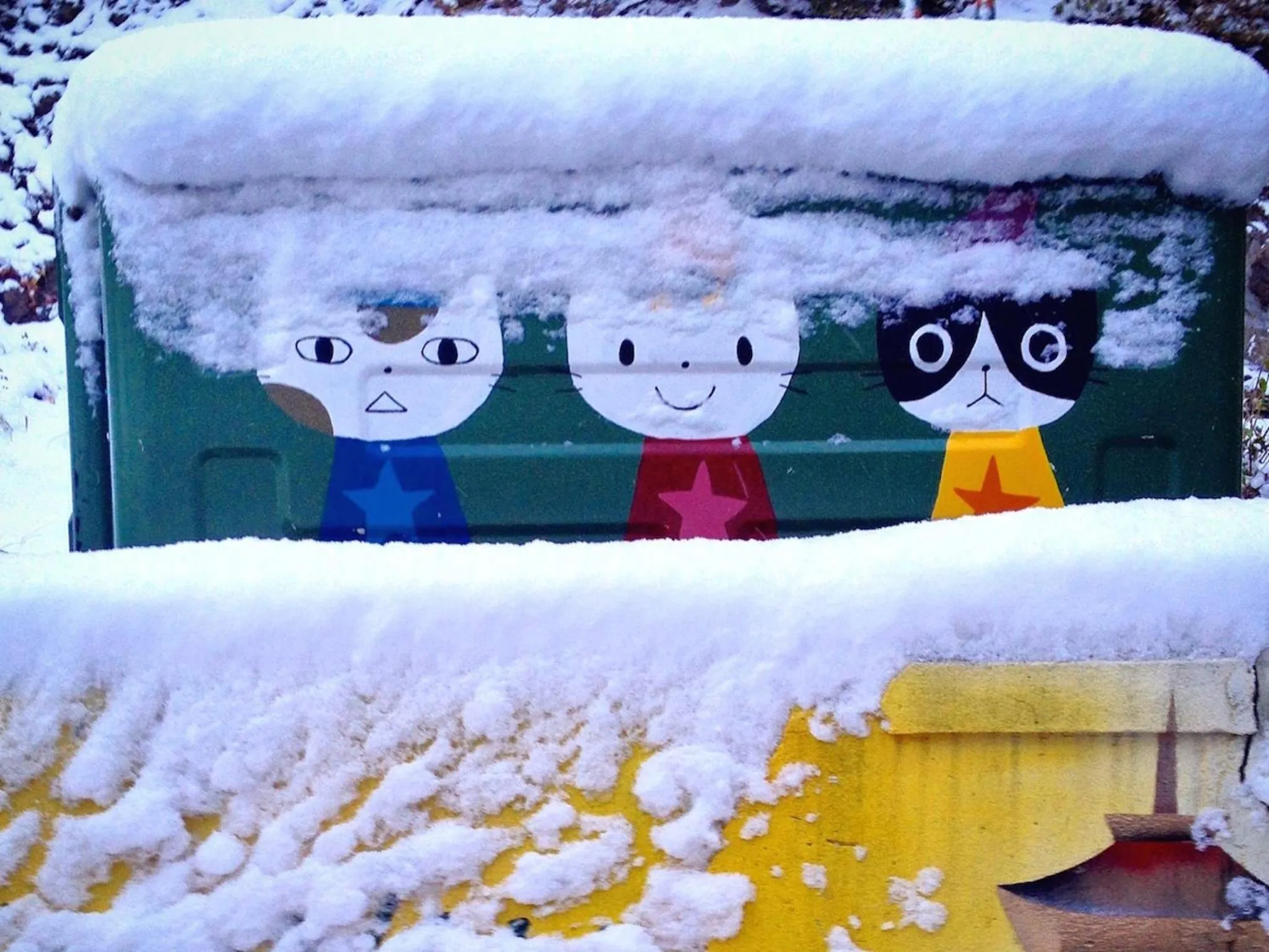 Winter in The Otaornai Backpacker's Hostel Morinoki