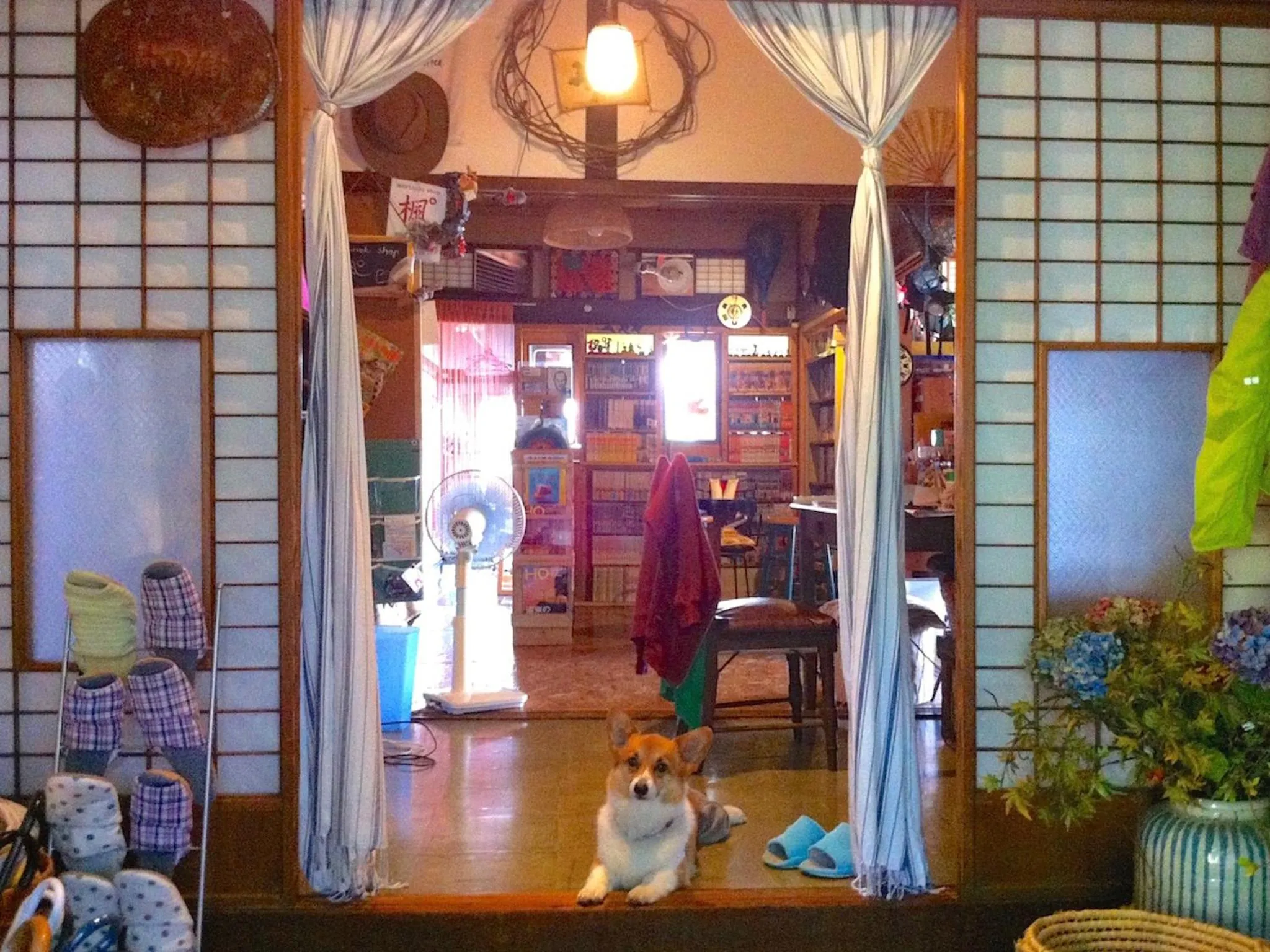 Other in The Otaornai Backpacker's Hostel Morinoki