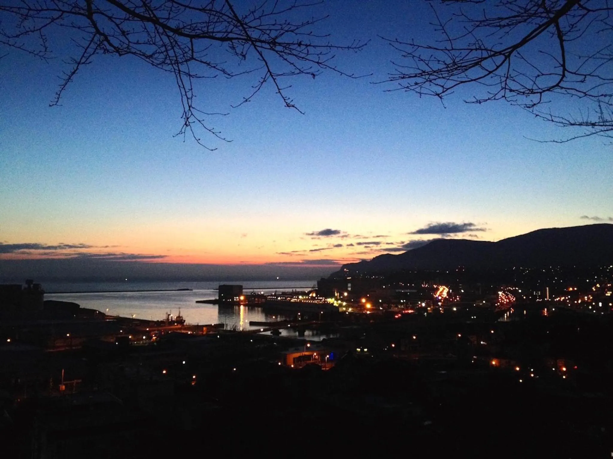 Natural landscape in The Otaornai Backpacker's Hostel Morinoki