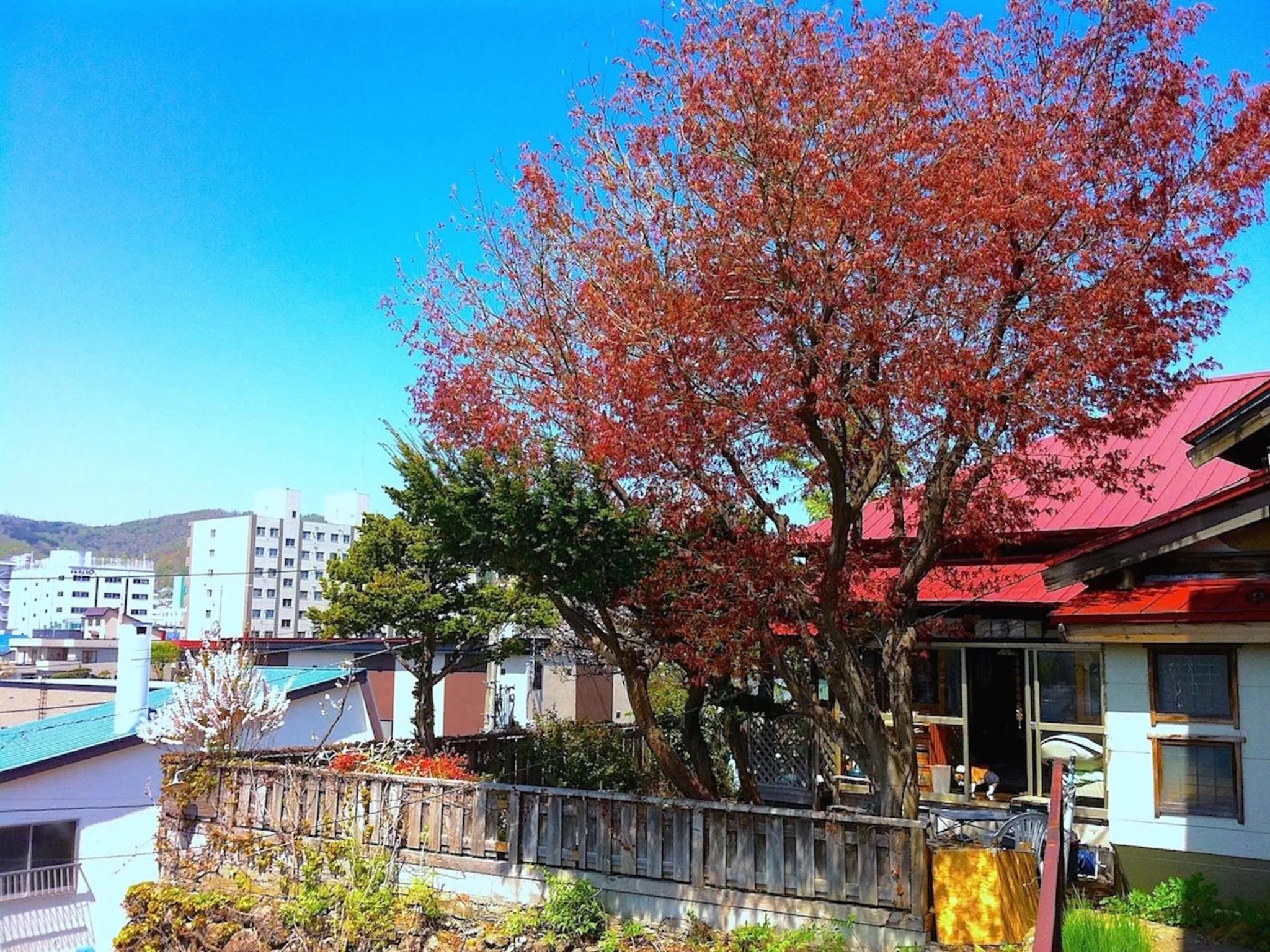 Property building in The Otaornai Backpacker's Hostel Morinoki
