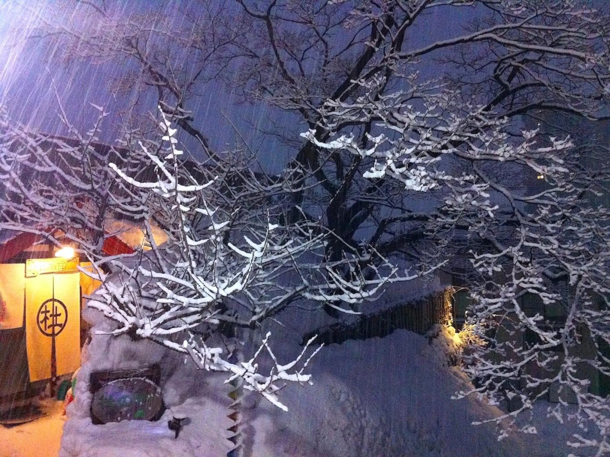 Winter in The Otaornai Backpacker's Hostel Morinoki