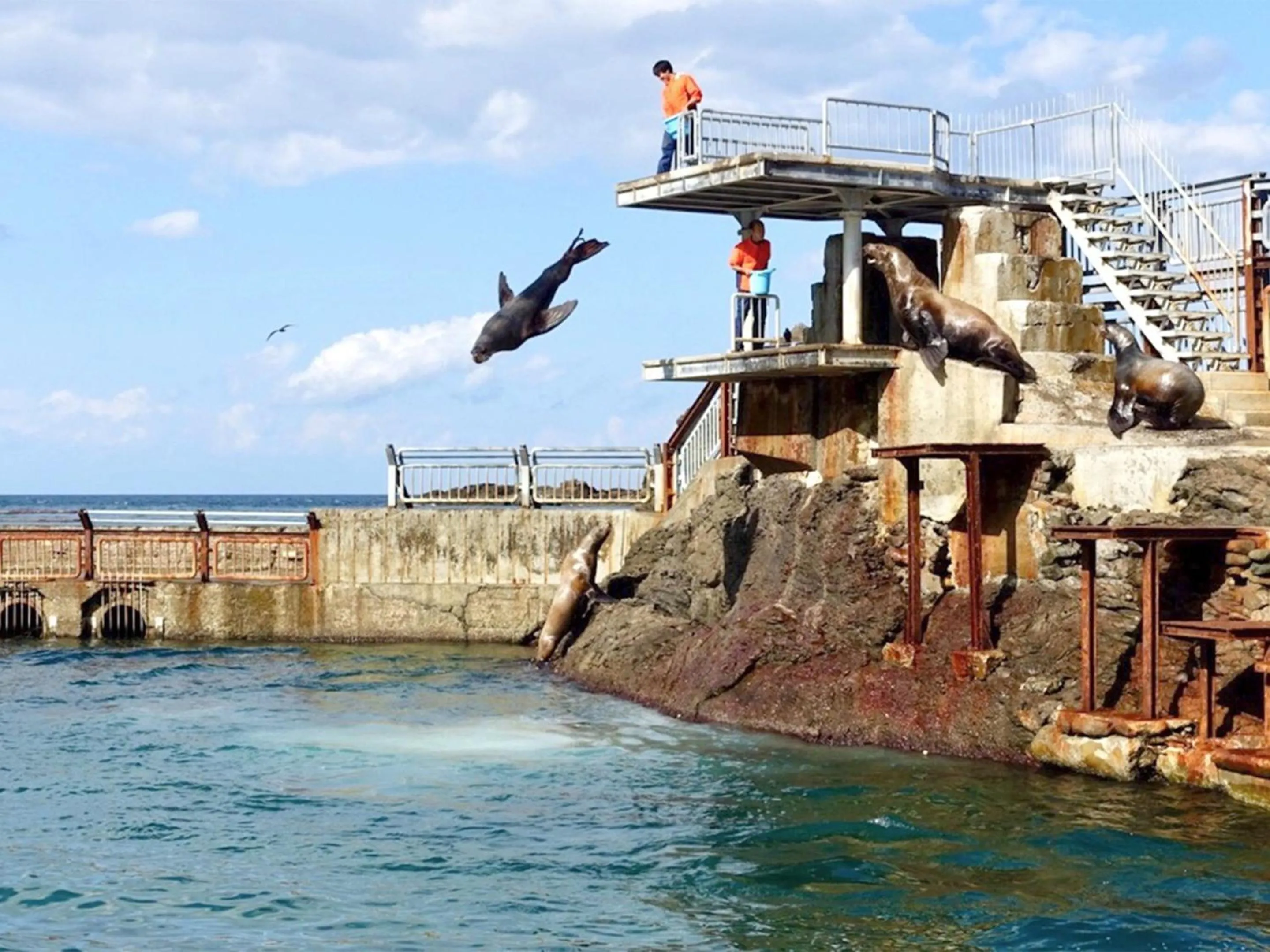 Nearby landmark in The Otaornai Backpacker's Hostel Morinoki