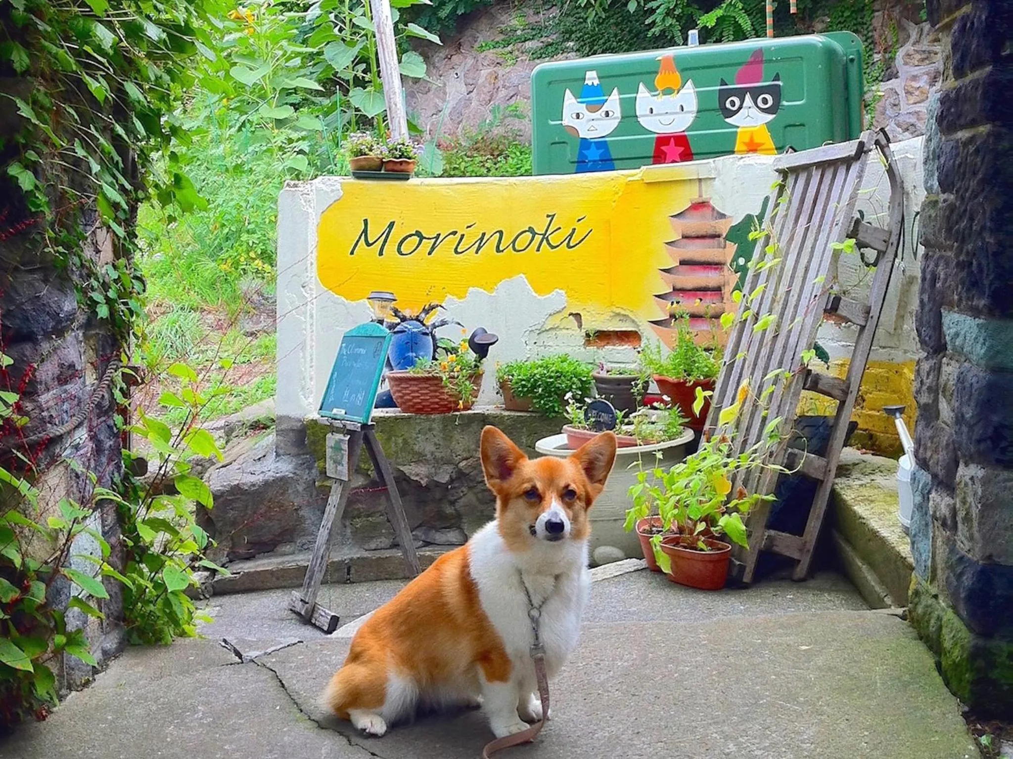 Pets in The Otaornai Backpacker's Hostel Morinoki