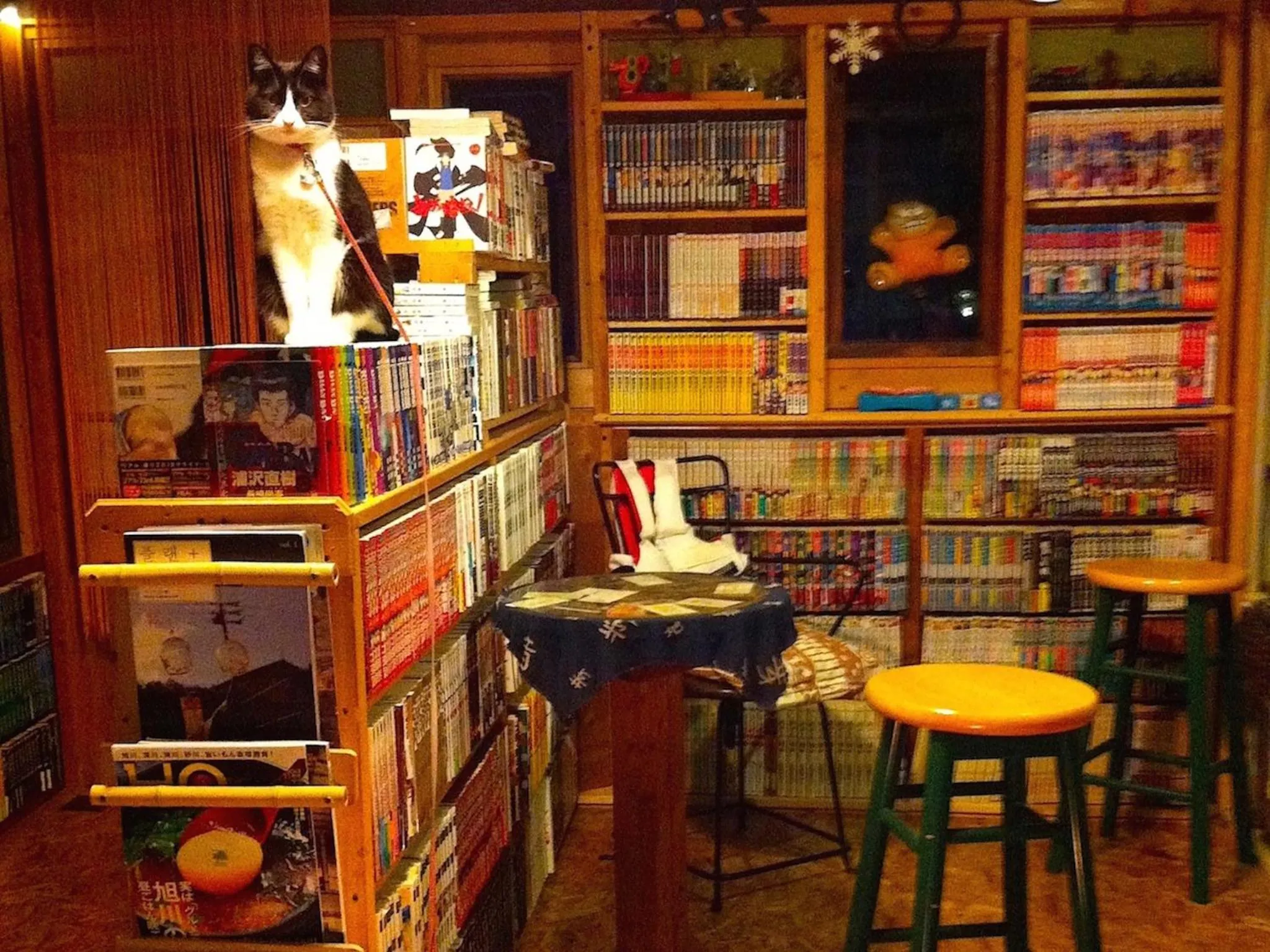 Communal lounge/ TV room in The Otaornai Backpacker's Hostel Morinoki