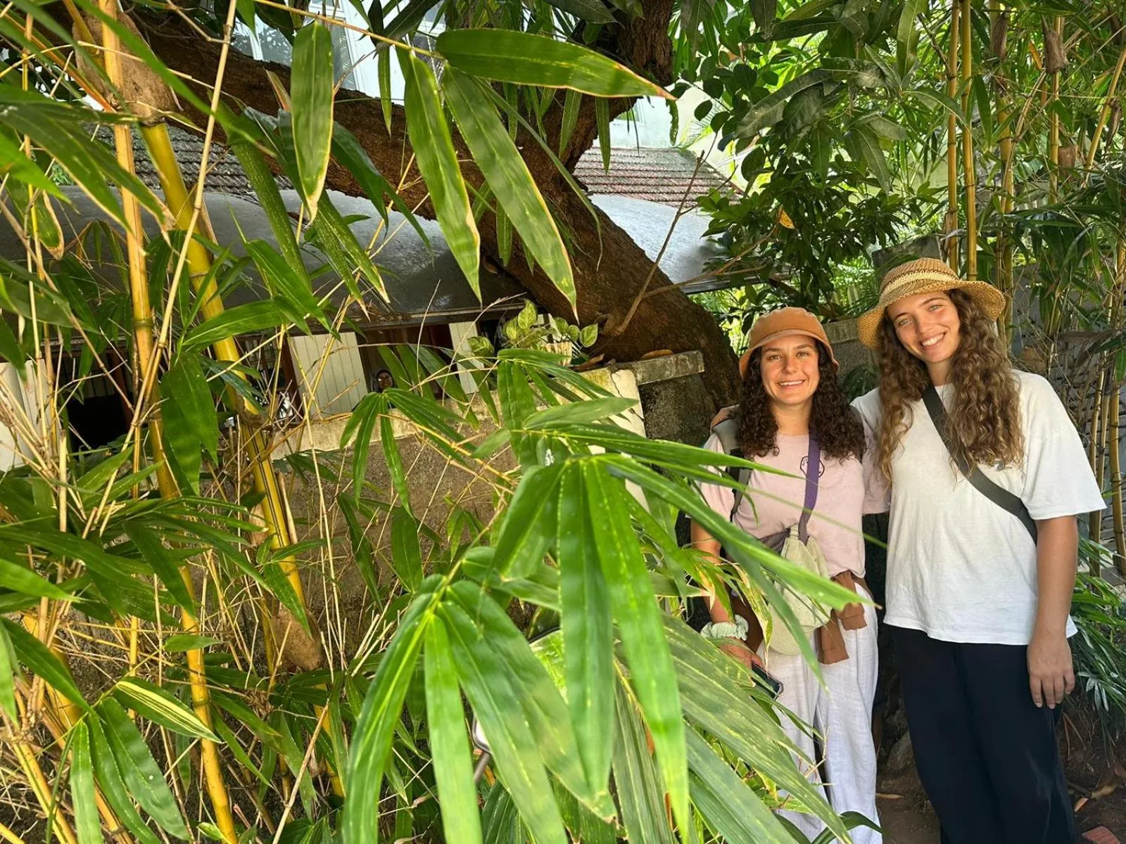 Adams Wood House Ayurveda Homestay Retreat Kochi