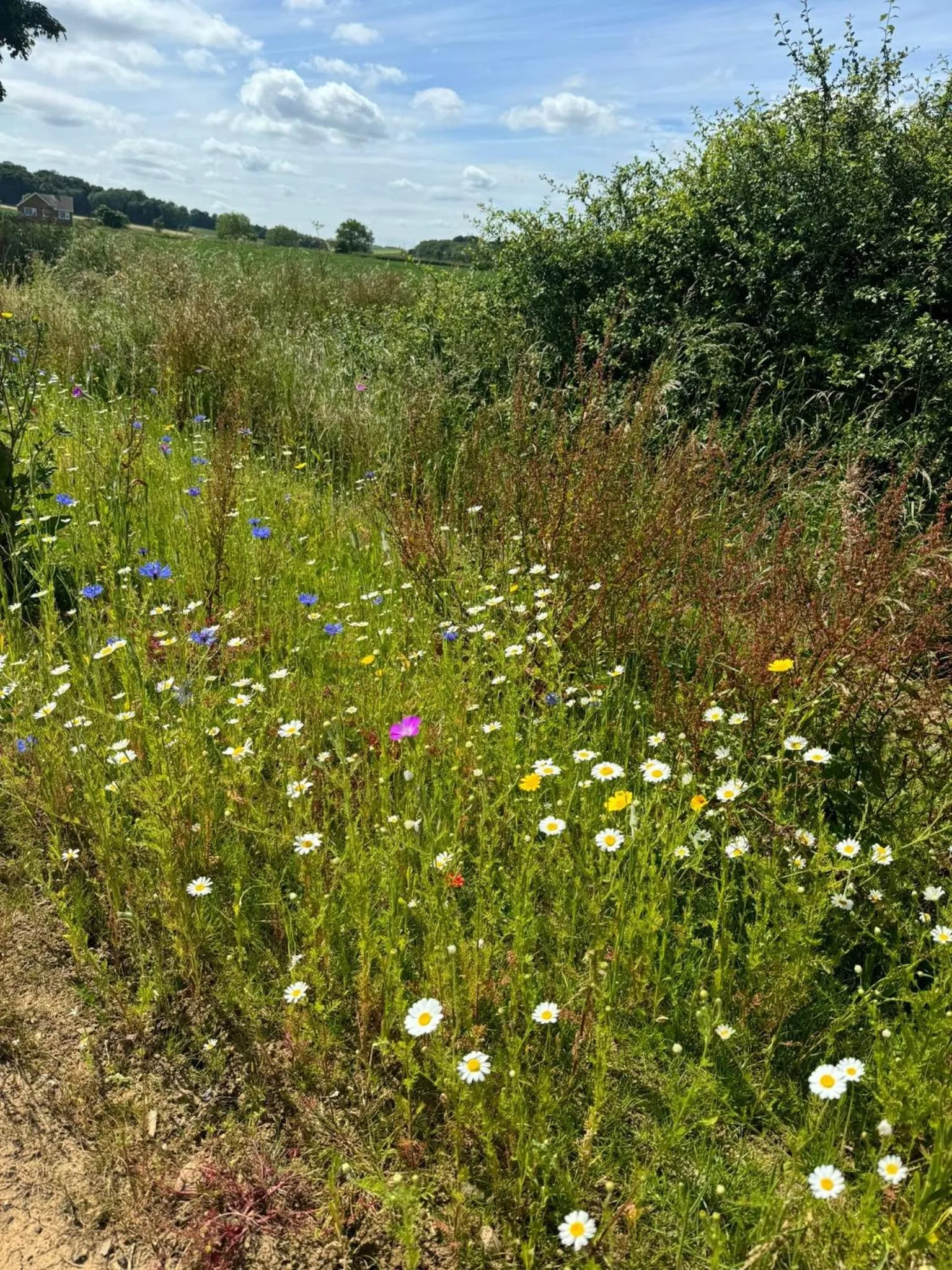 Brackenborough Hotel, BW Signature Collection