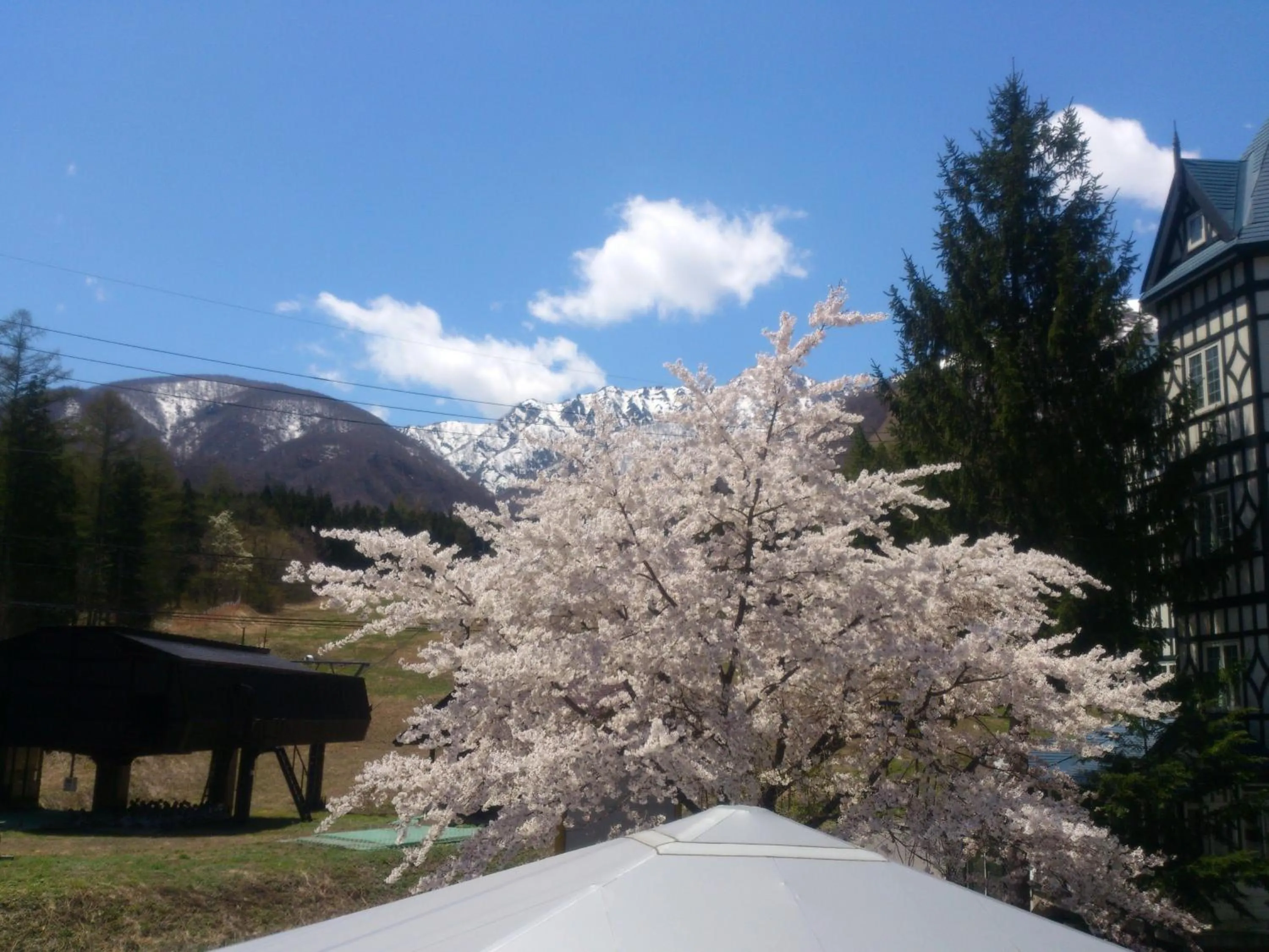 View (from property/room) in Hakuba Sun Valley Hotel