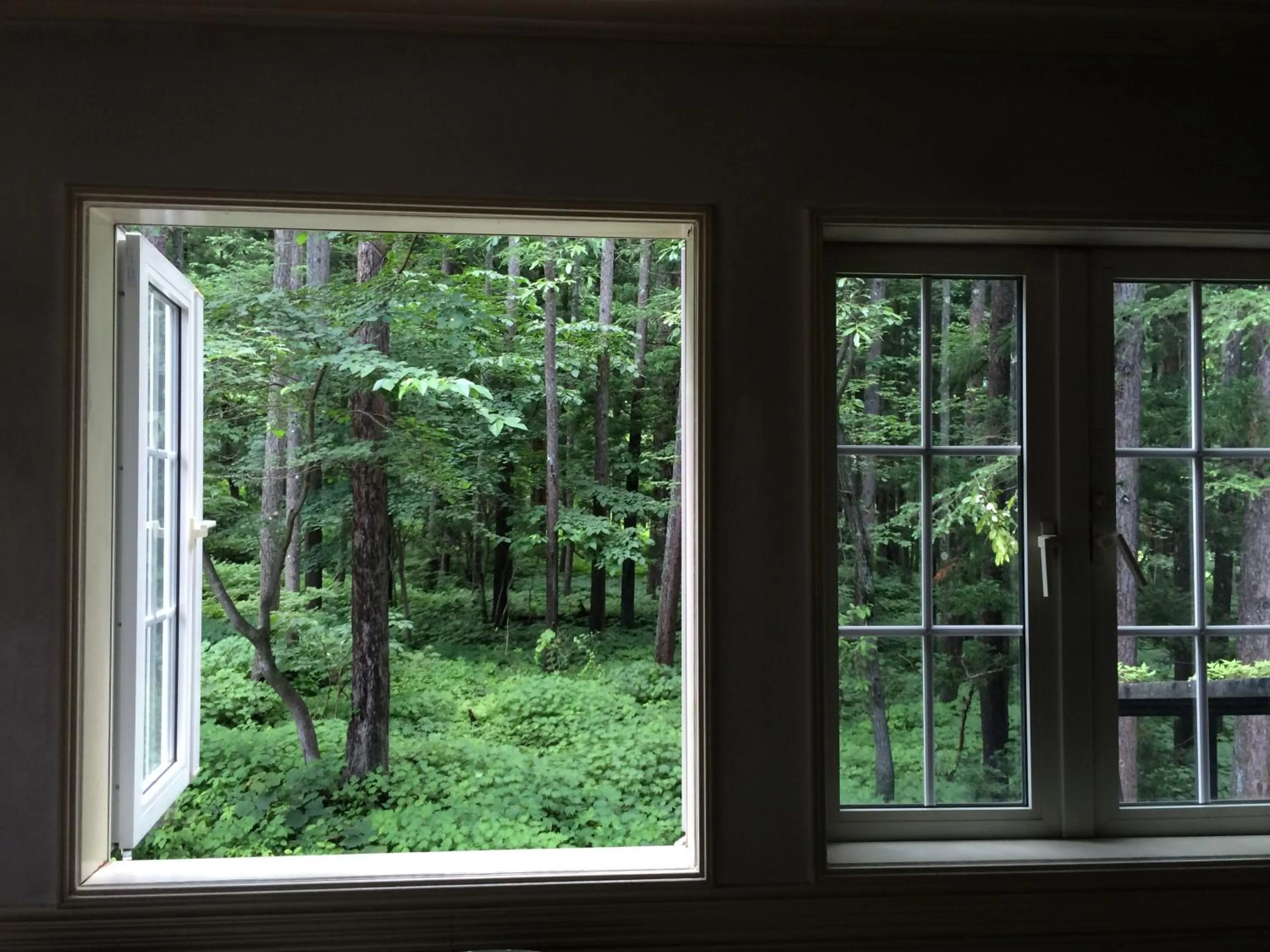 Restaurant/places to eat in Hakuba Sun Valley Hotel