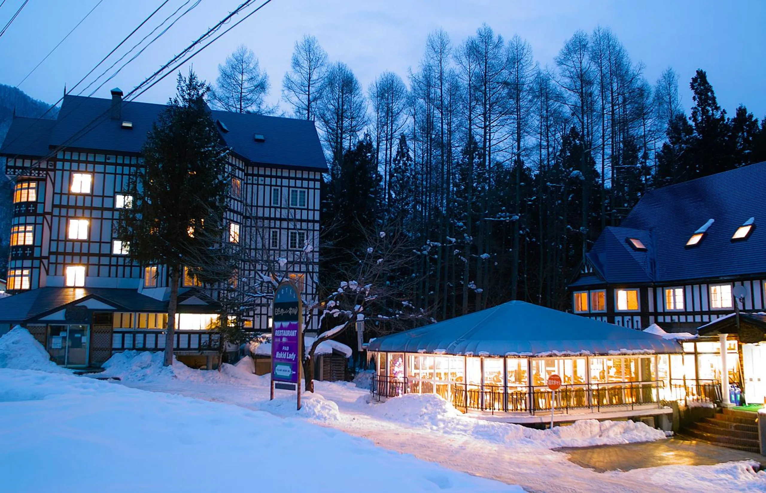 Facade/entrance in Hakuba Sun Valley Hotel