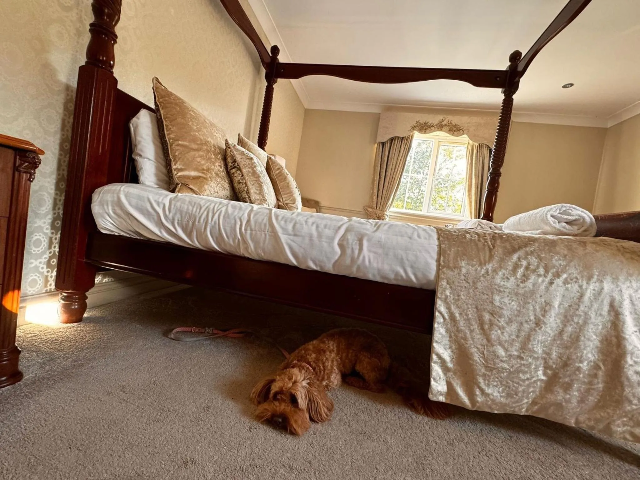 Bed in The Ashbourne Hotel