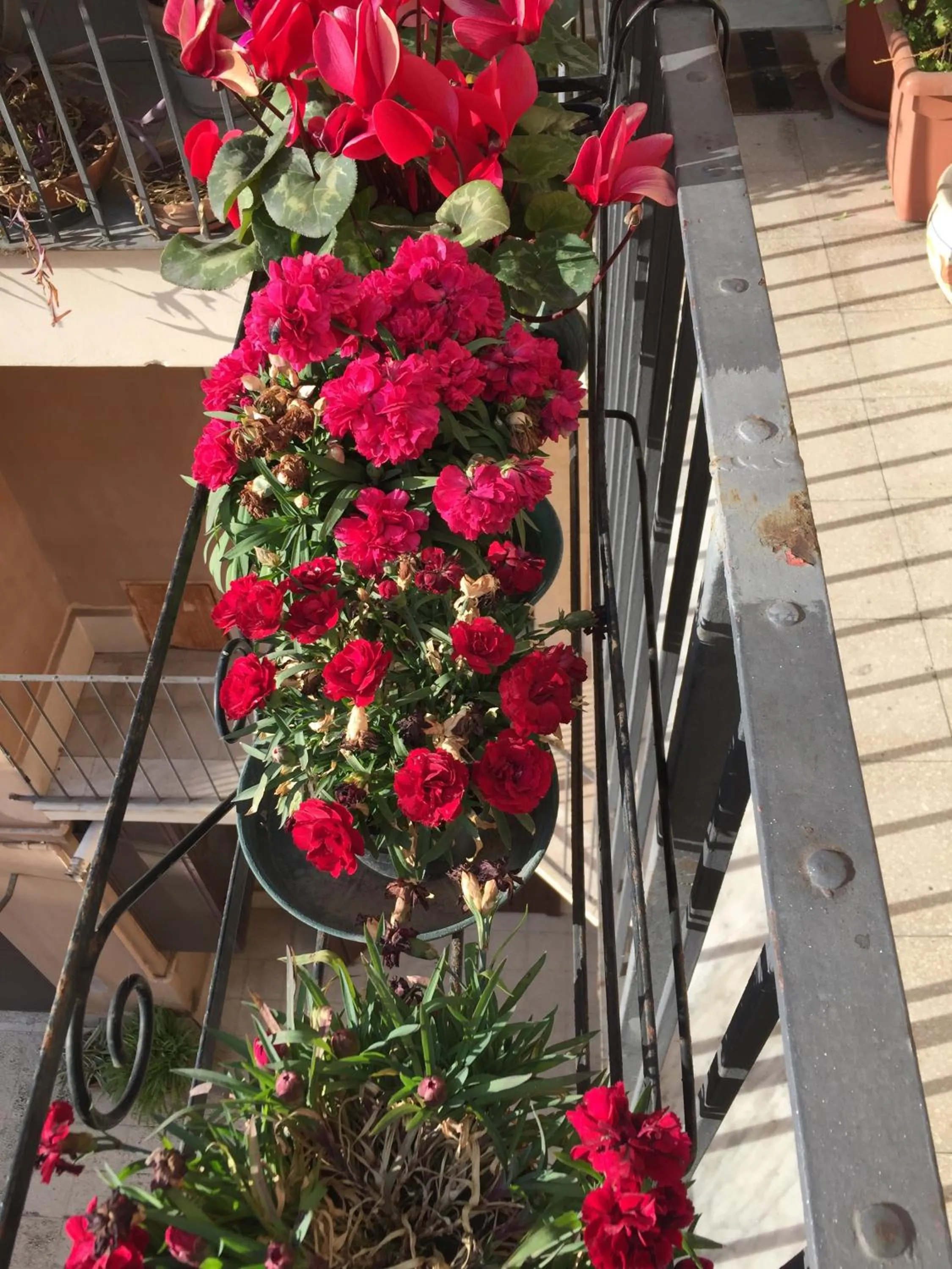 The Artist's Home Catania Centro