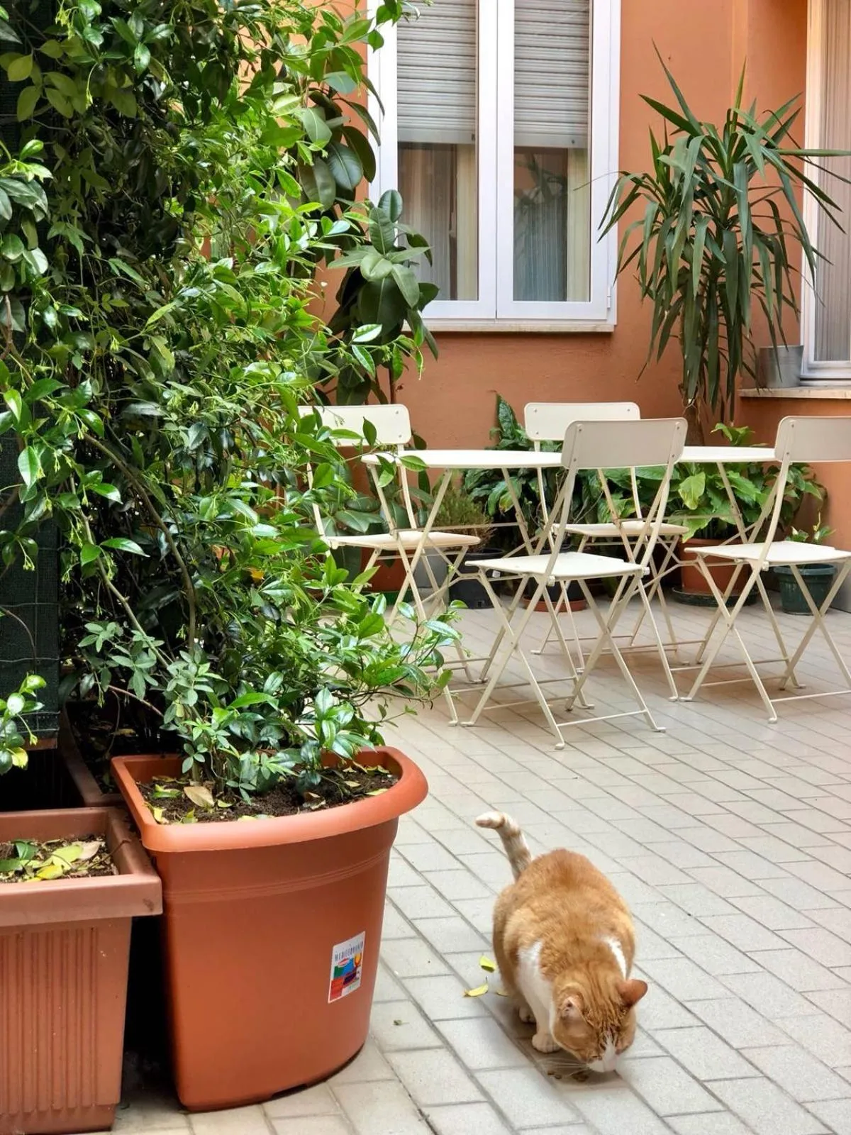 Castelfranco Hotel