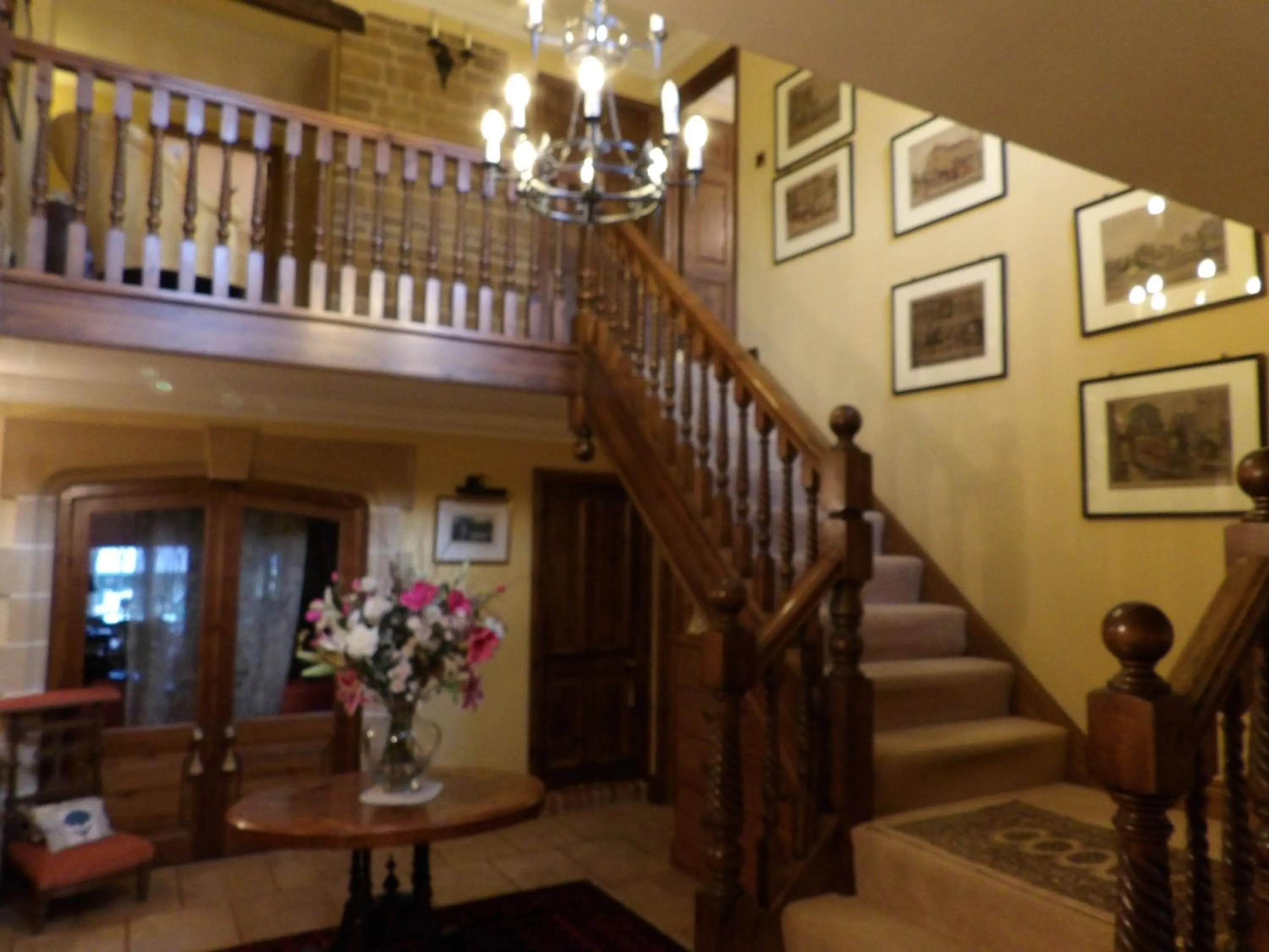 Lobby or reception in Broccoli Bottom