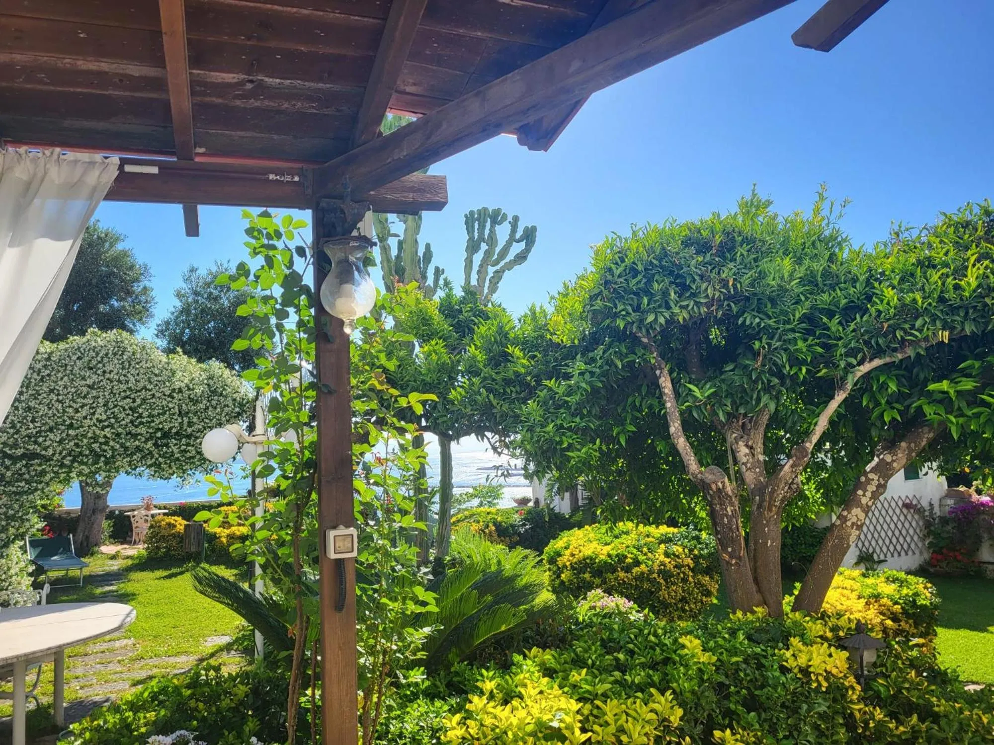 Garden view in Summer Paradise