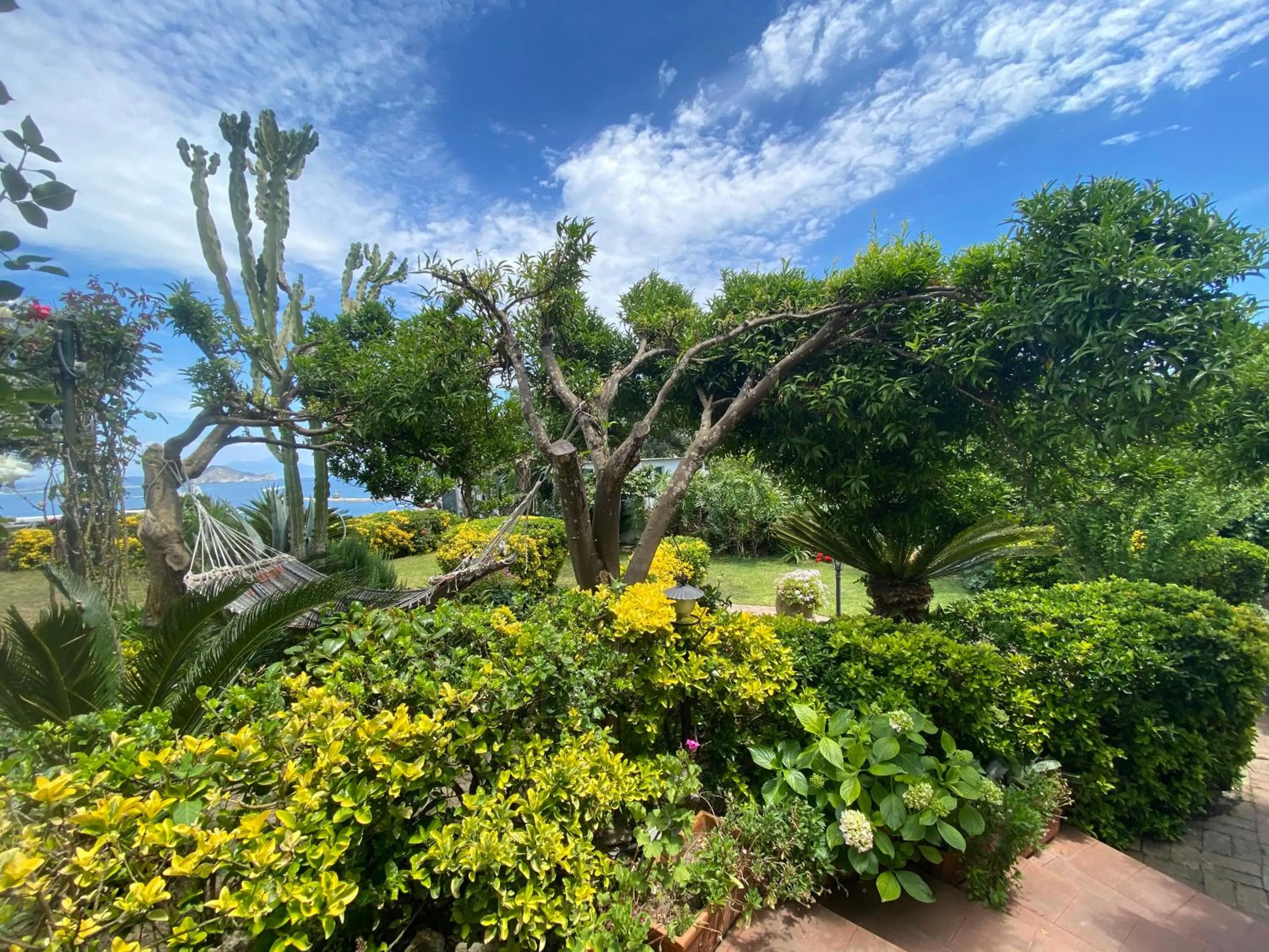 Garden in Summer Paradise