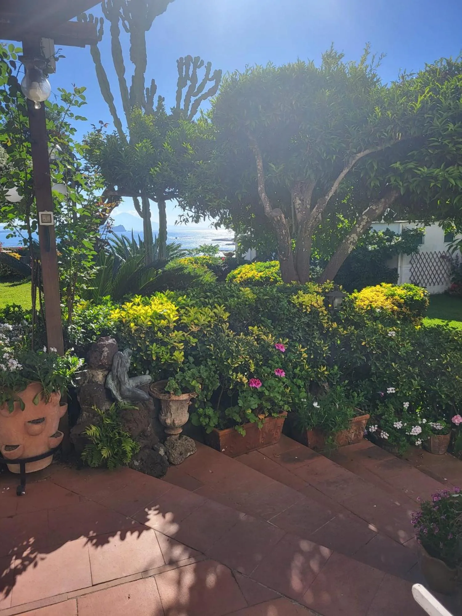 Garden view in Summer Paradise