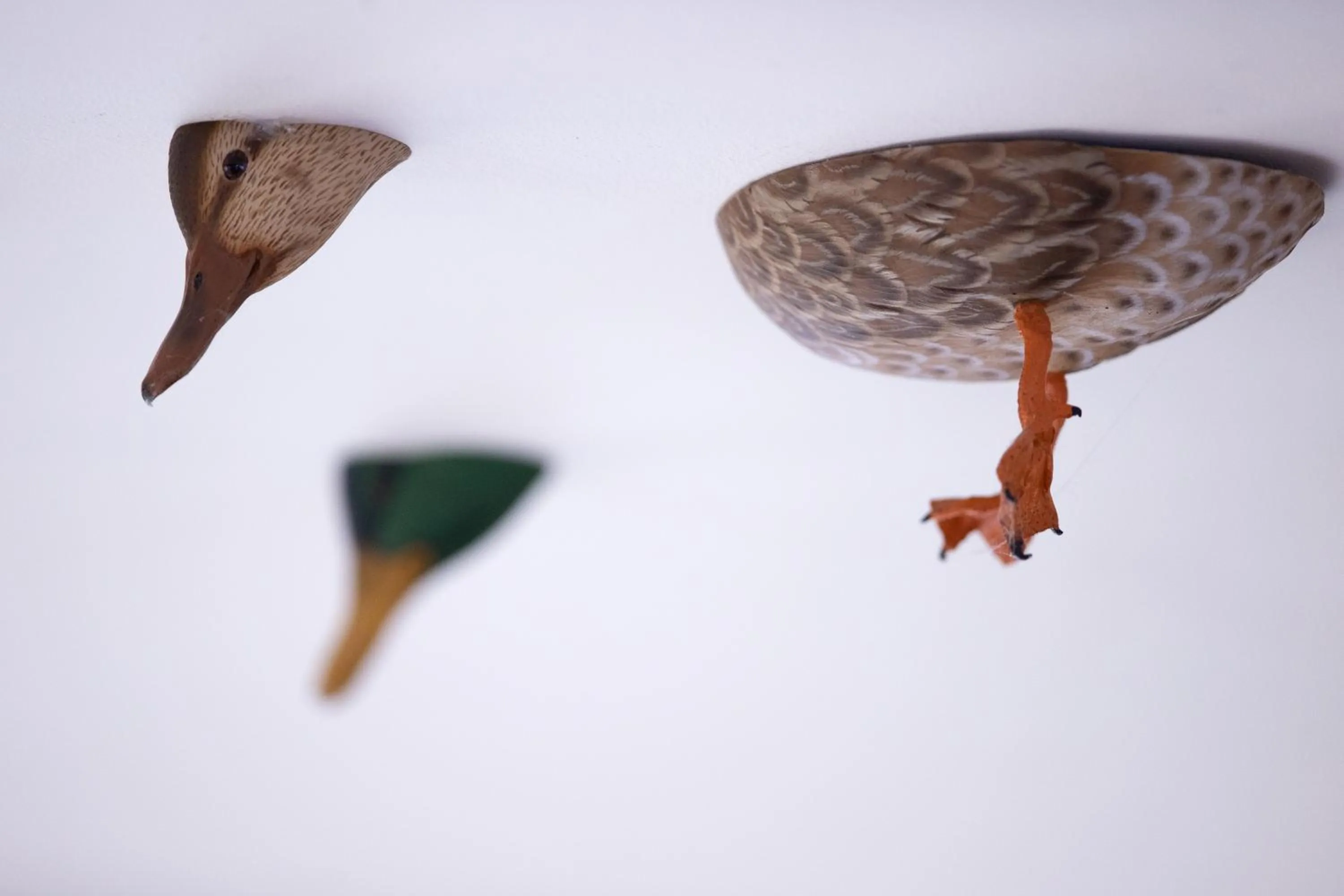 Decorative detail in Karma Lake Of Menteith Hotel