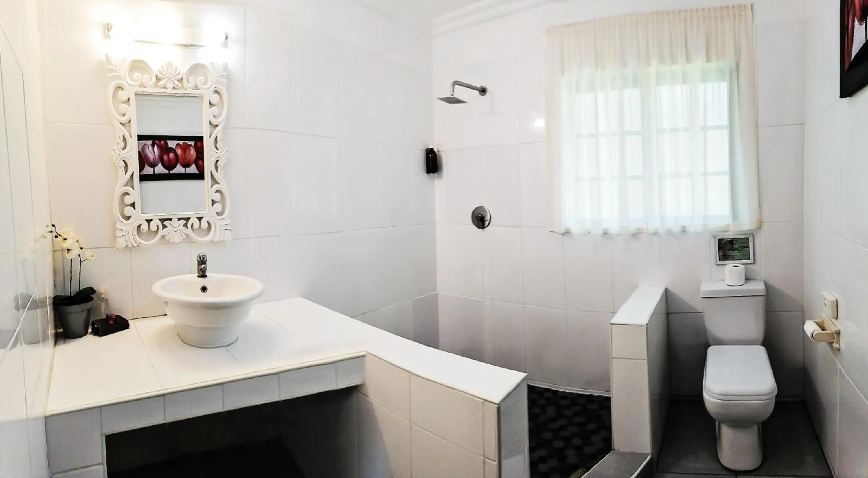 Toilet in Emdoneni Lodge with Zululand Cat Conservation Project